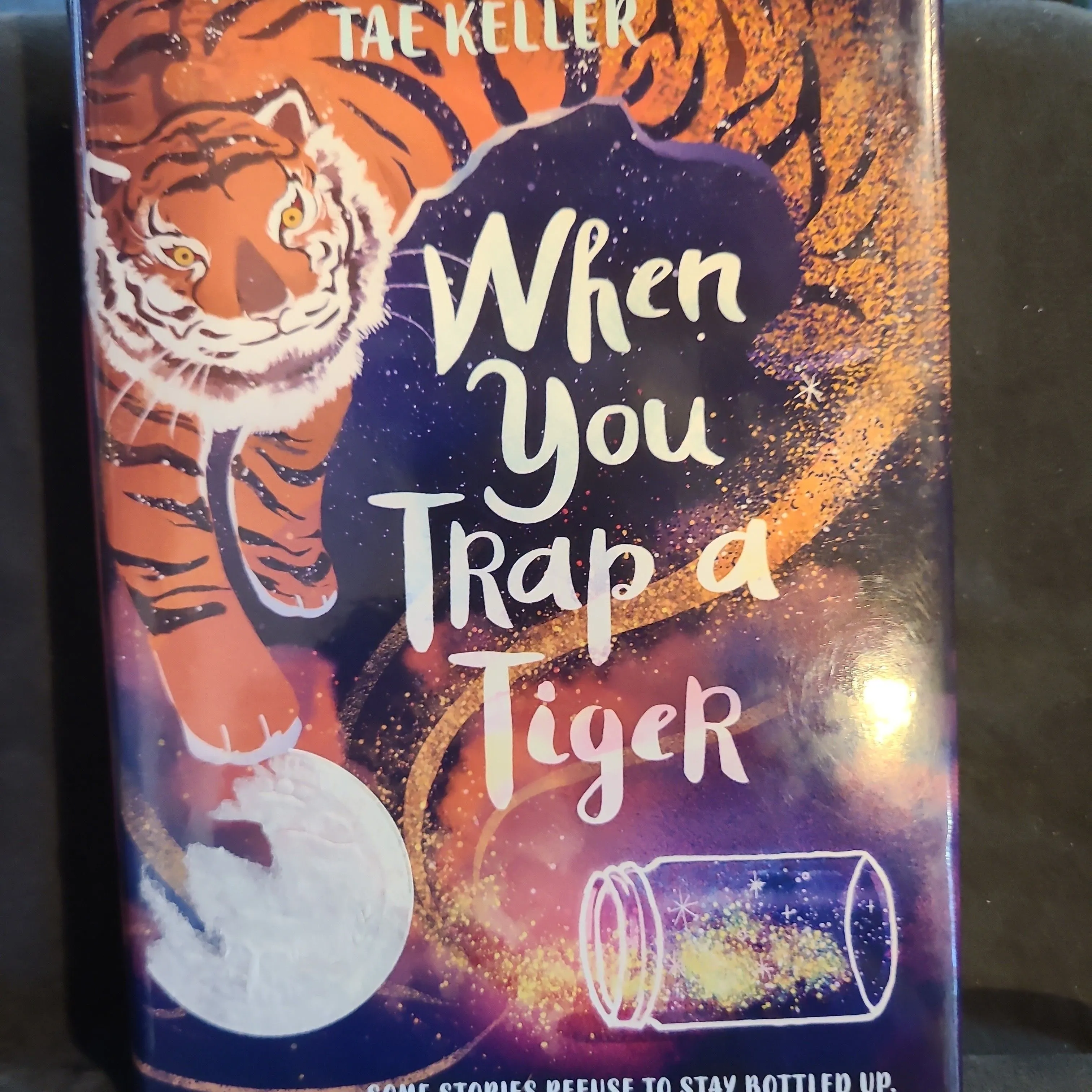 Product image for When You Trap a Tiger