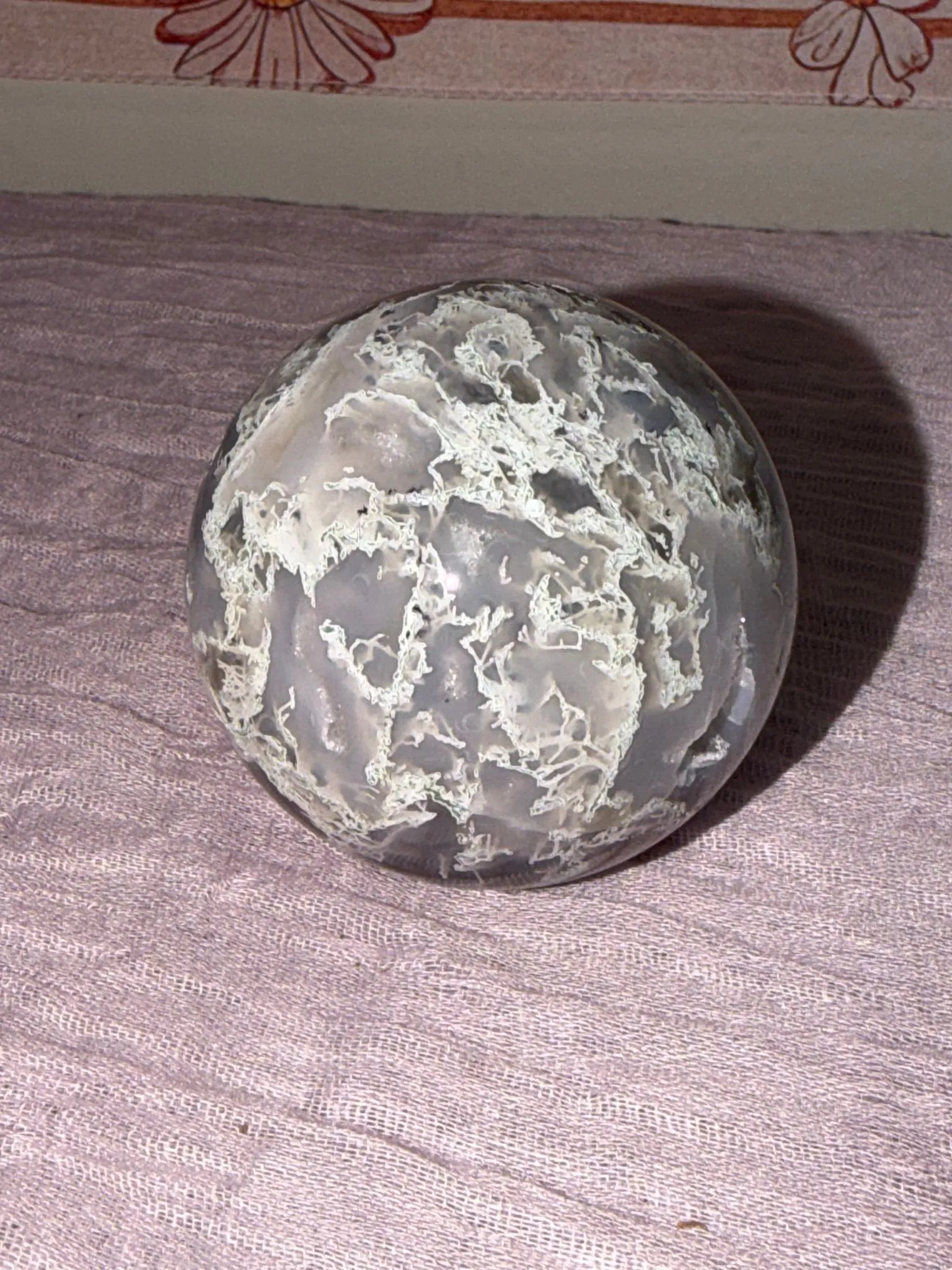 009b1485-4fbd-4695-acff-de3d6e0a65da