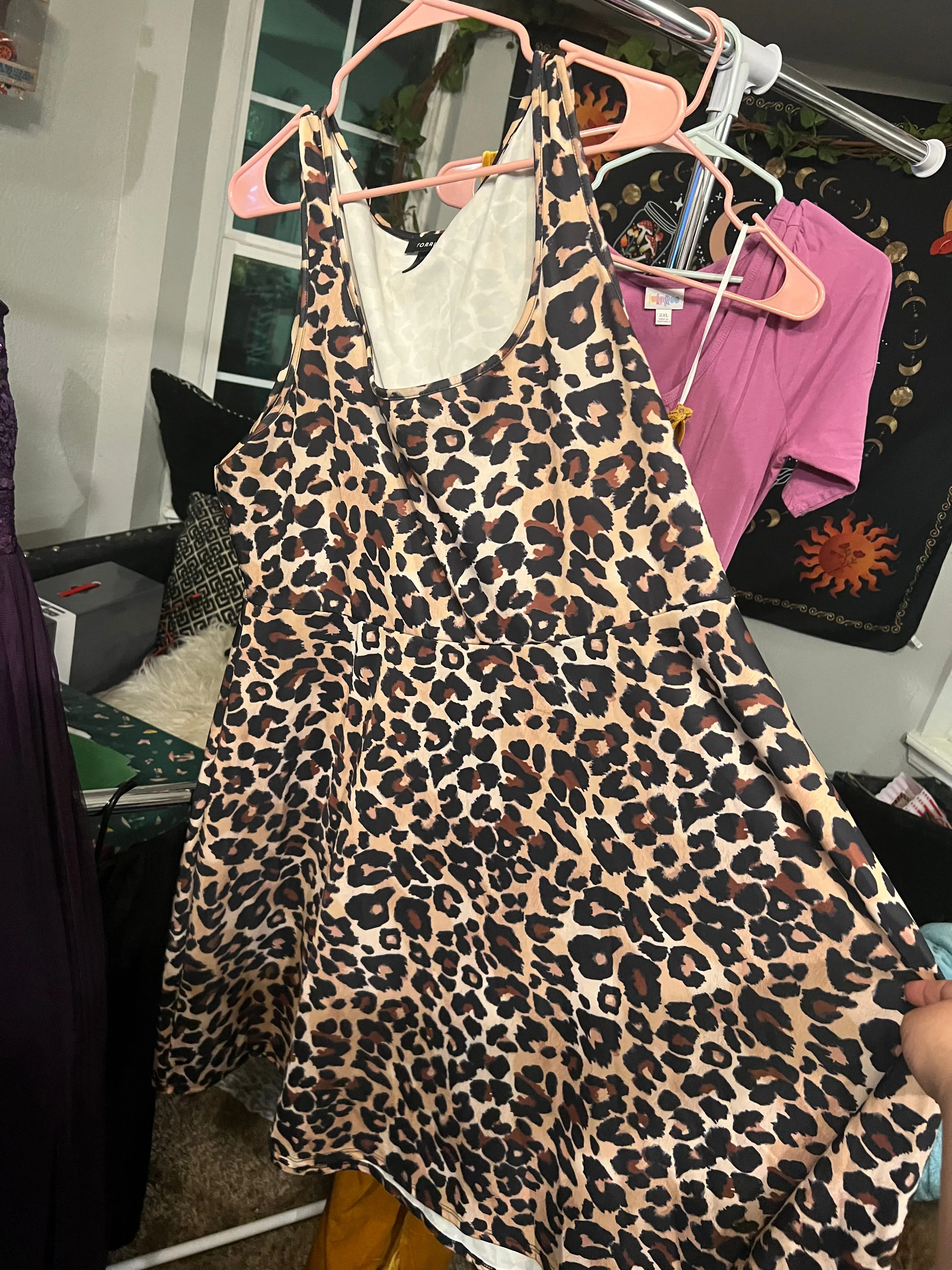 Product image for Torrid Cheetah Print