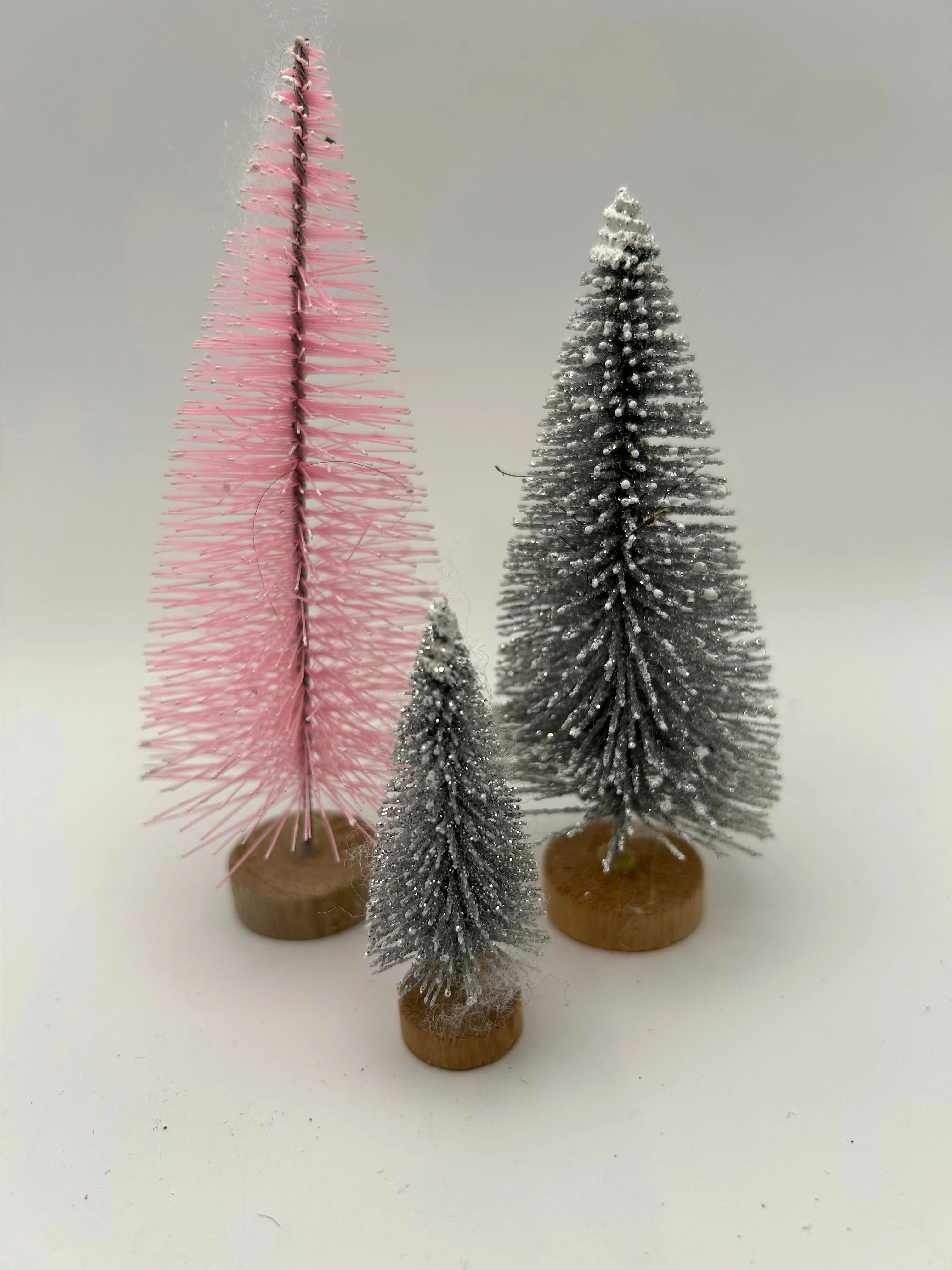 Product image for #84 Bottlebrush Tree Lot