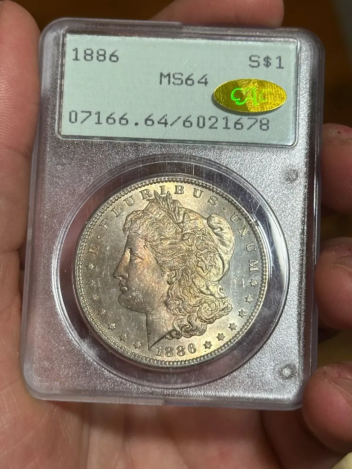 Product image for 1886 PCGS Morgan Dollar MS64 Rattler, GOLD CAC with Obv Toning