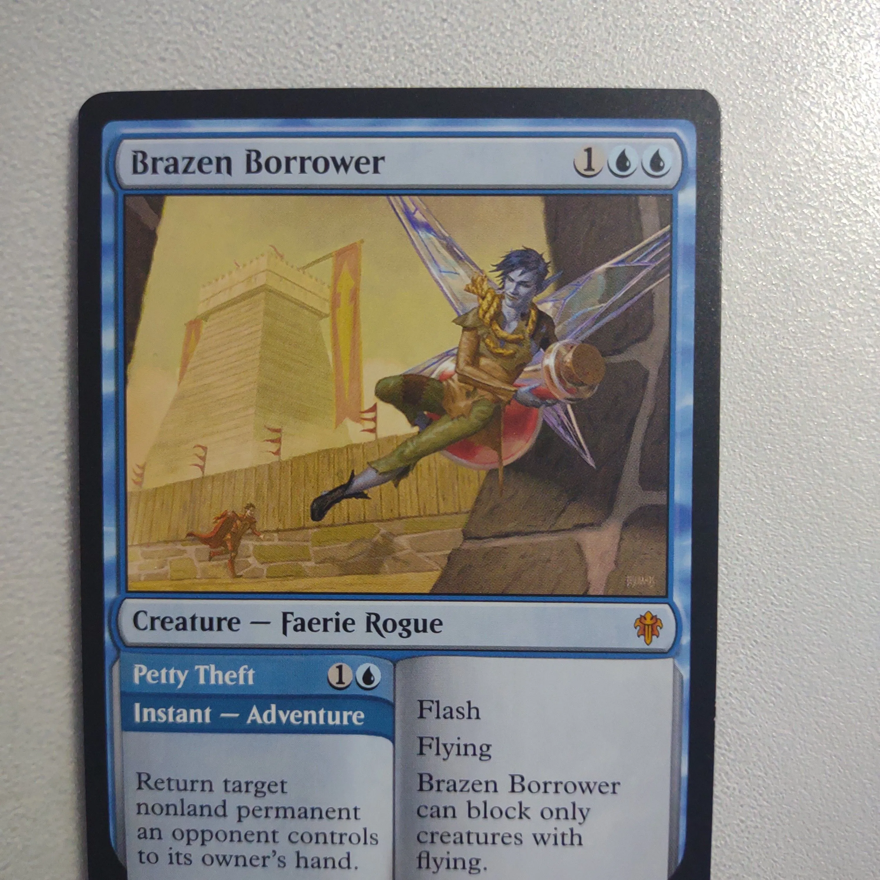 Product image for Brazen Borrwer