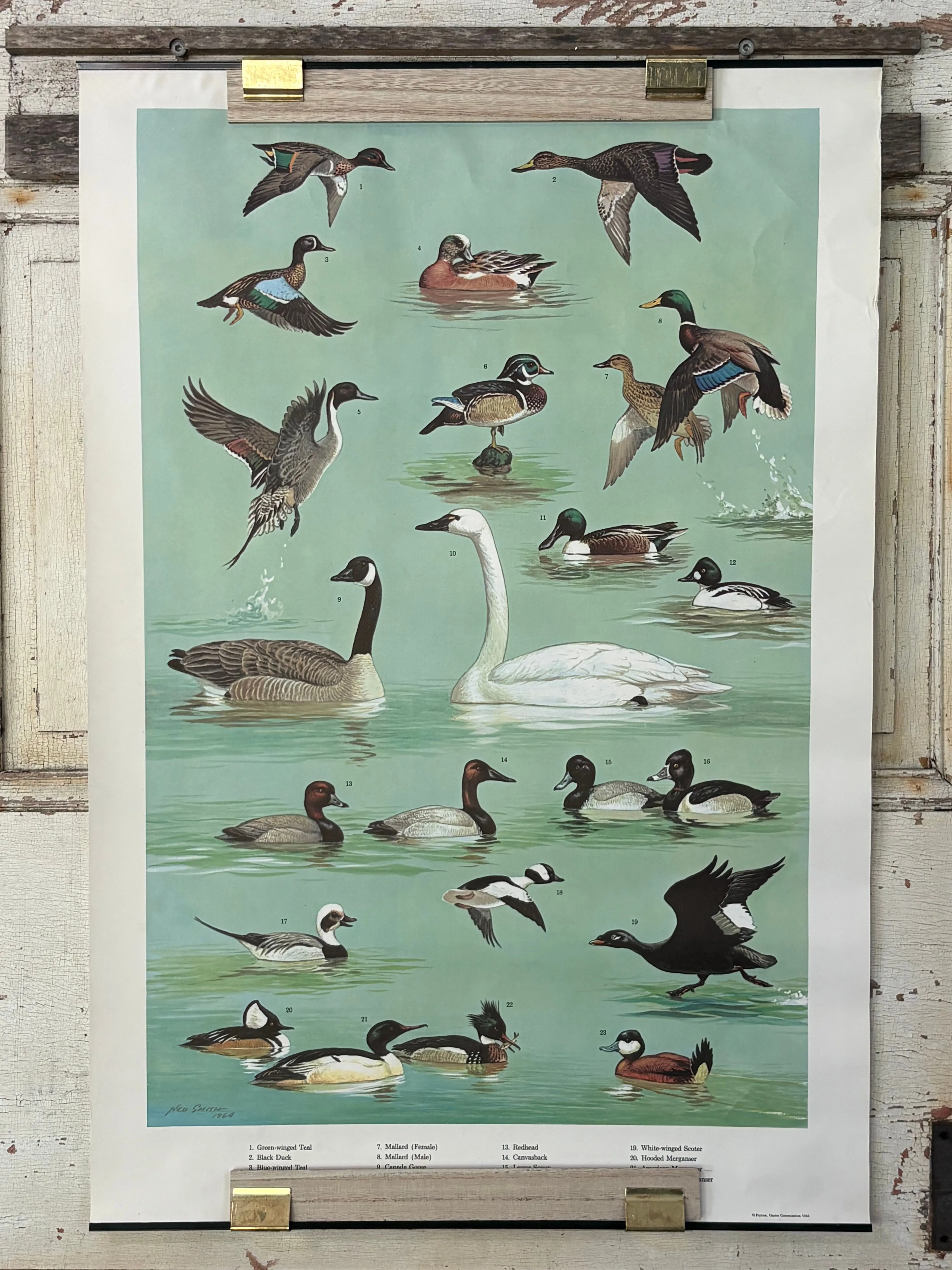 Product image for 8.  RARE 1964 Ned Smith "Waterfowl"