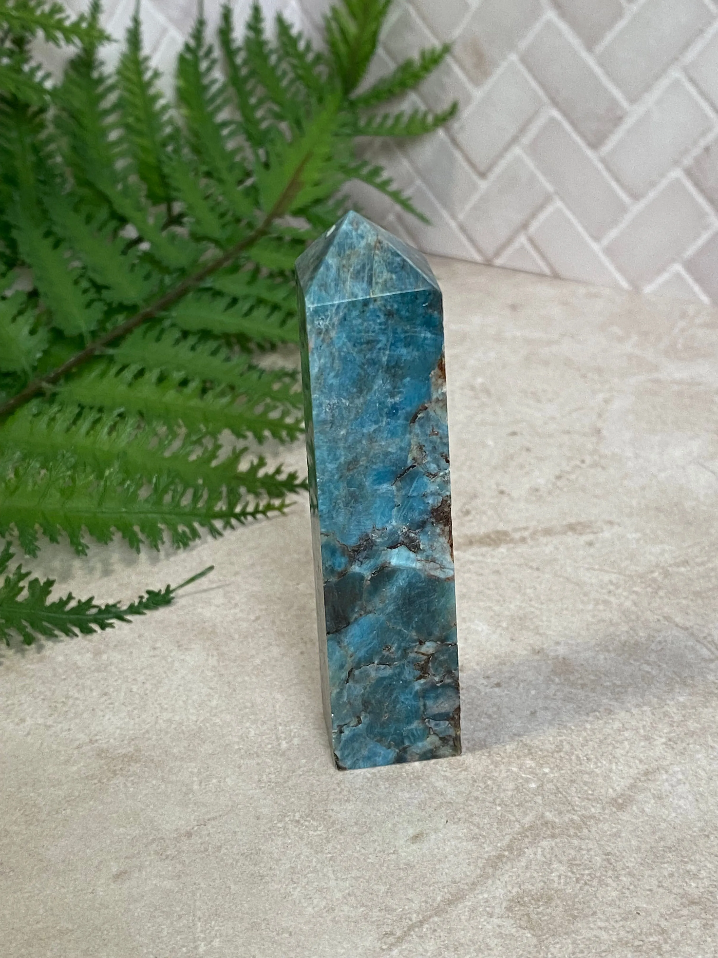 Product image for L562