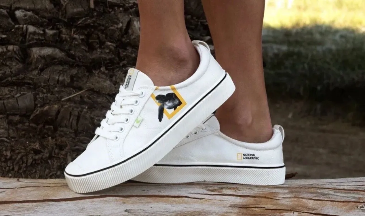 Product image for K. (10.5W, 9M) NIB CARIUMA X NATIONAL GEOGRAPHIC TURTLE WHITE SNEAKER