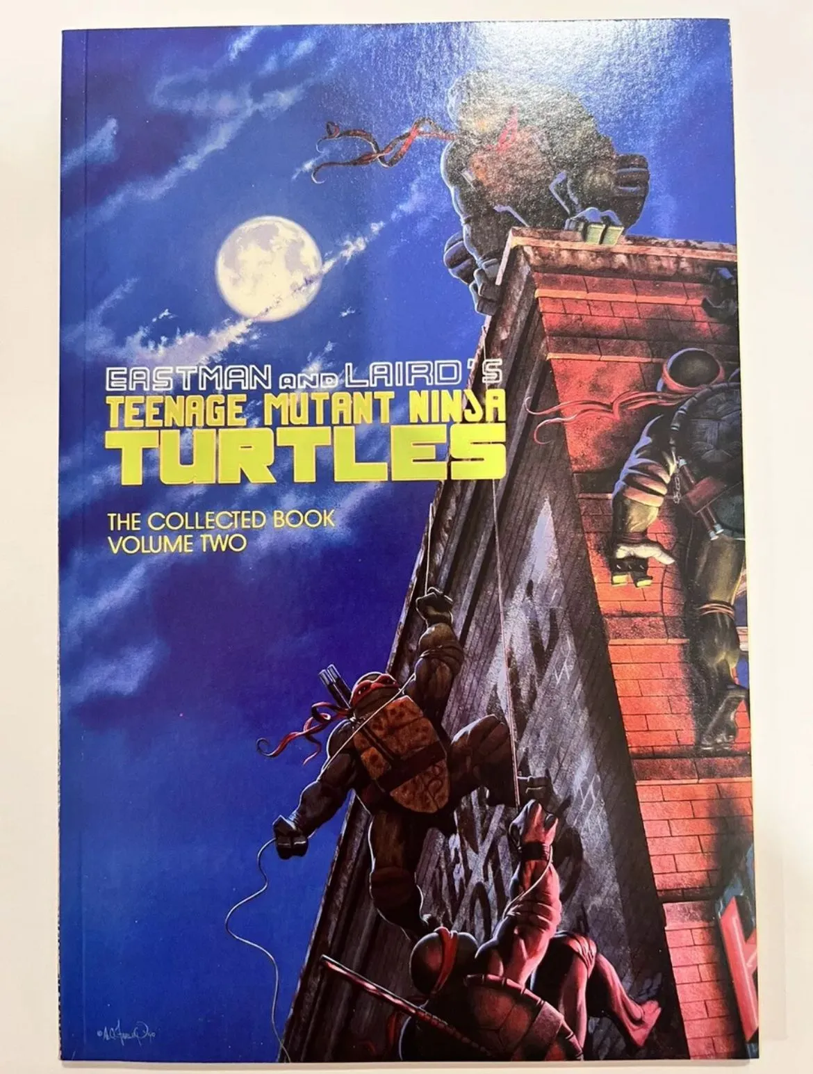 Product image for Teenage Mutant Ninja Turtles The Collected Book Volume 2 Mirage 1990 TPB TMNT