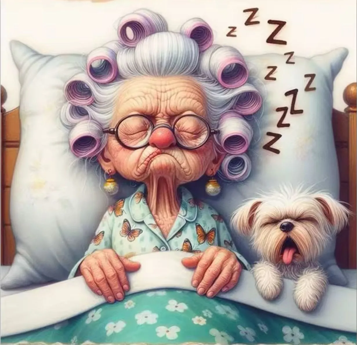 Product image for #282 Granny and Friend Sleeping 20cm X 20cm Diamond Painting Art Kit