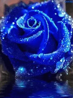 03fb0f22-9e97-4b5c-b84a-a79b84a09631