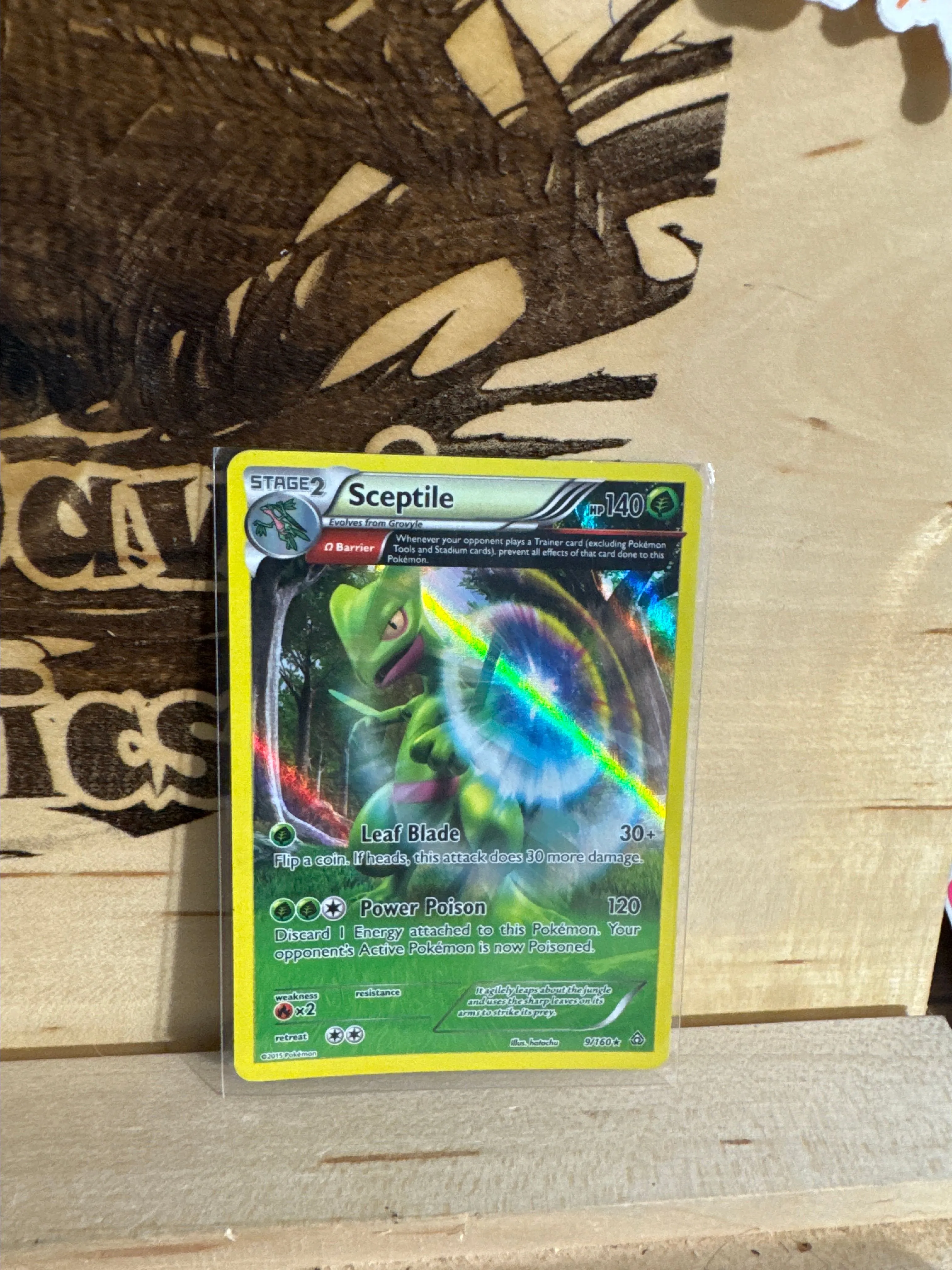 Product image for Sceptile #9 Pokemon Primal Clash  