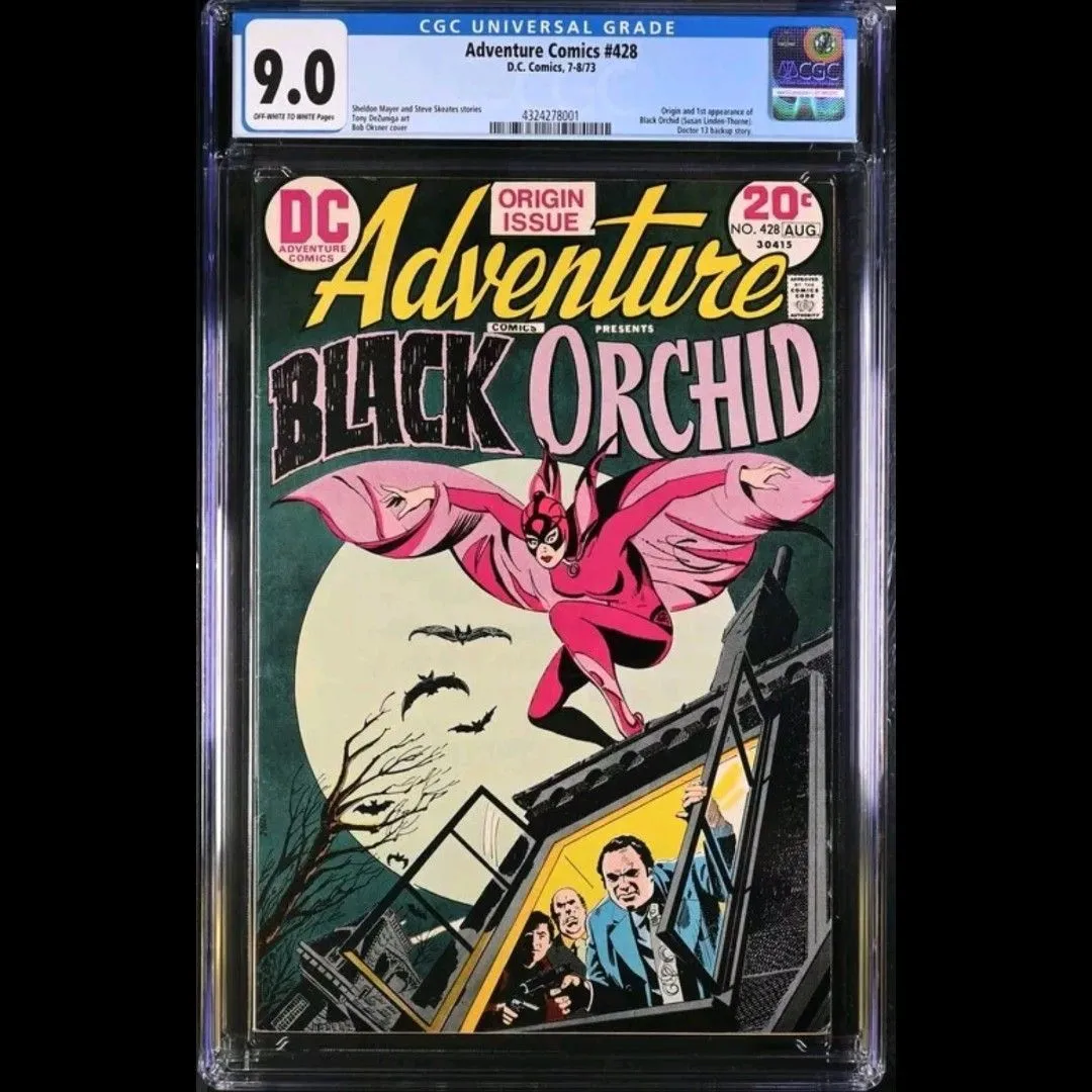 Product image for Adventure Comics #428
