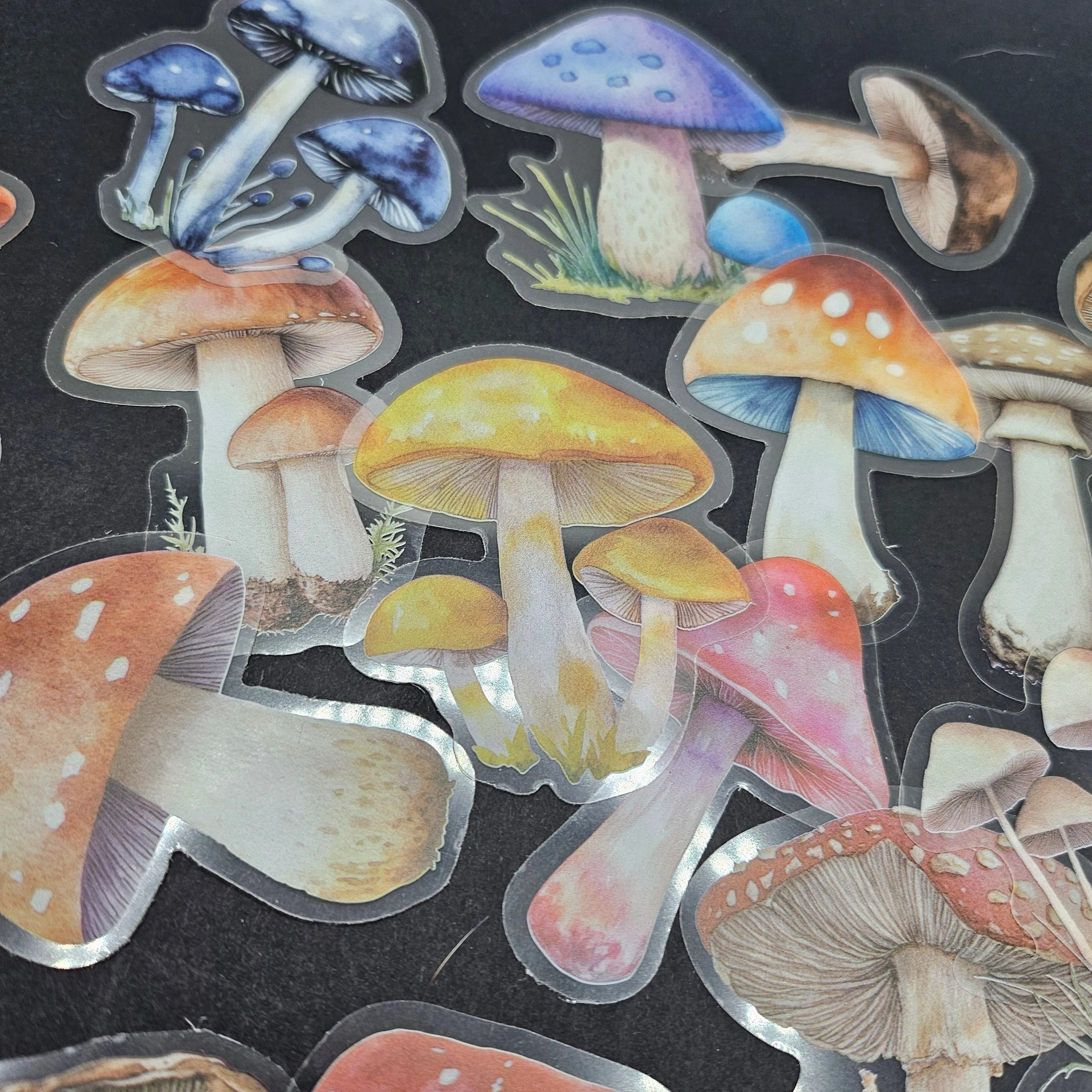 Listing Image Blurred Background