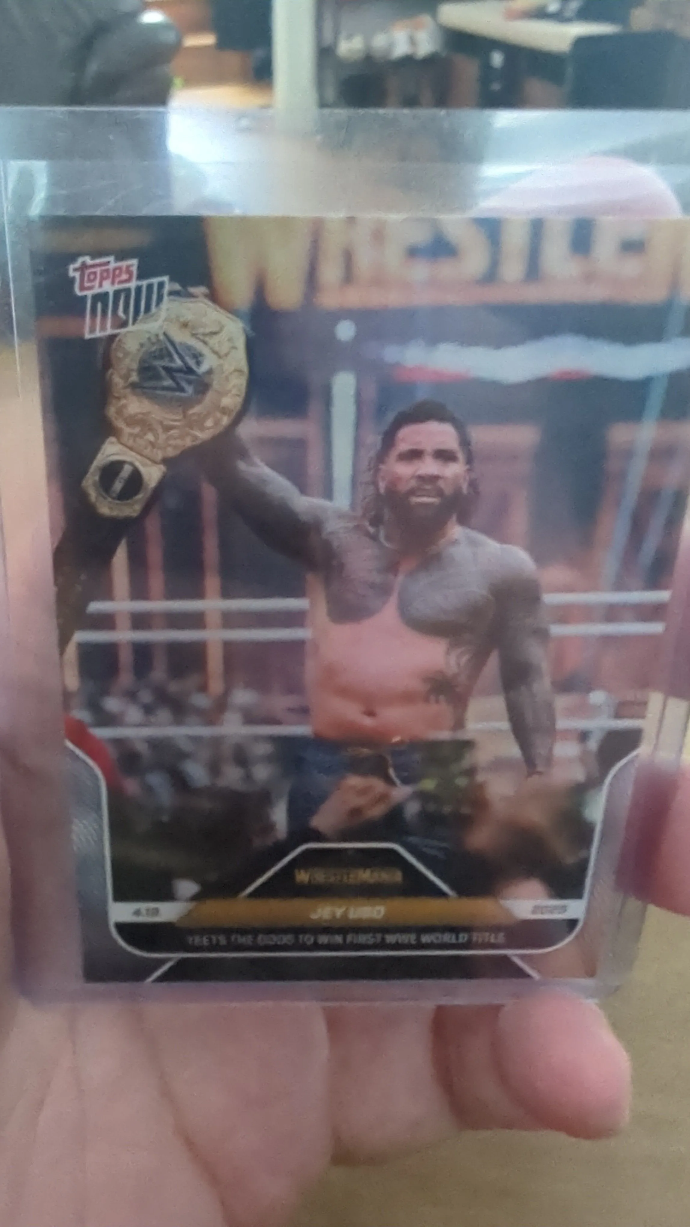 Product image for Jey Uso Wins World Title