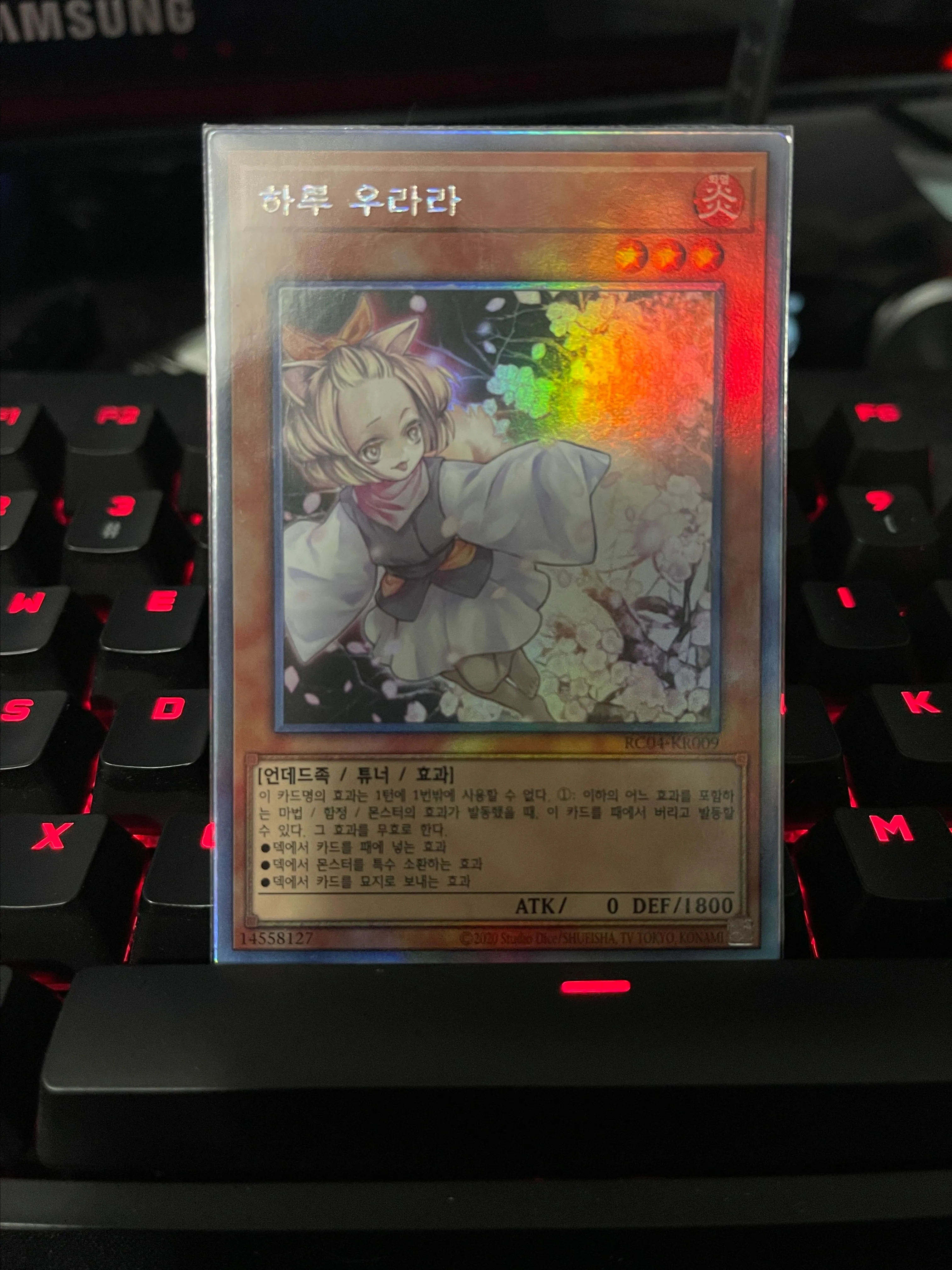 Product image for Korean Ash Blossom & Joyous Spring Holographic Rare