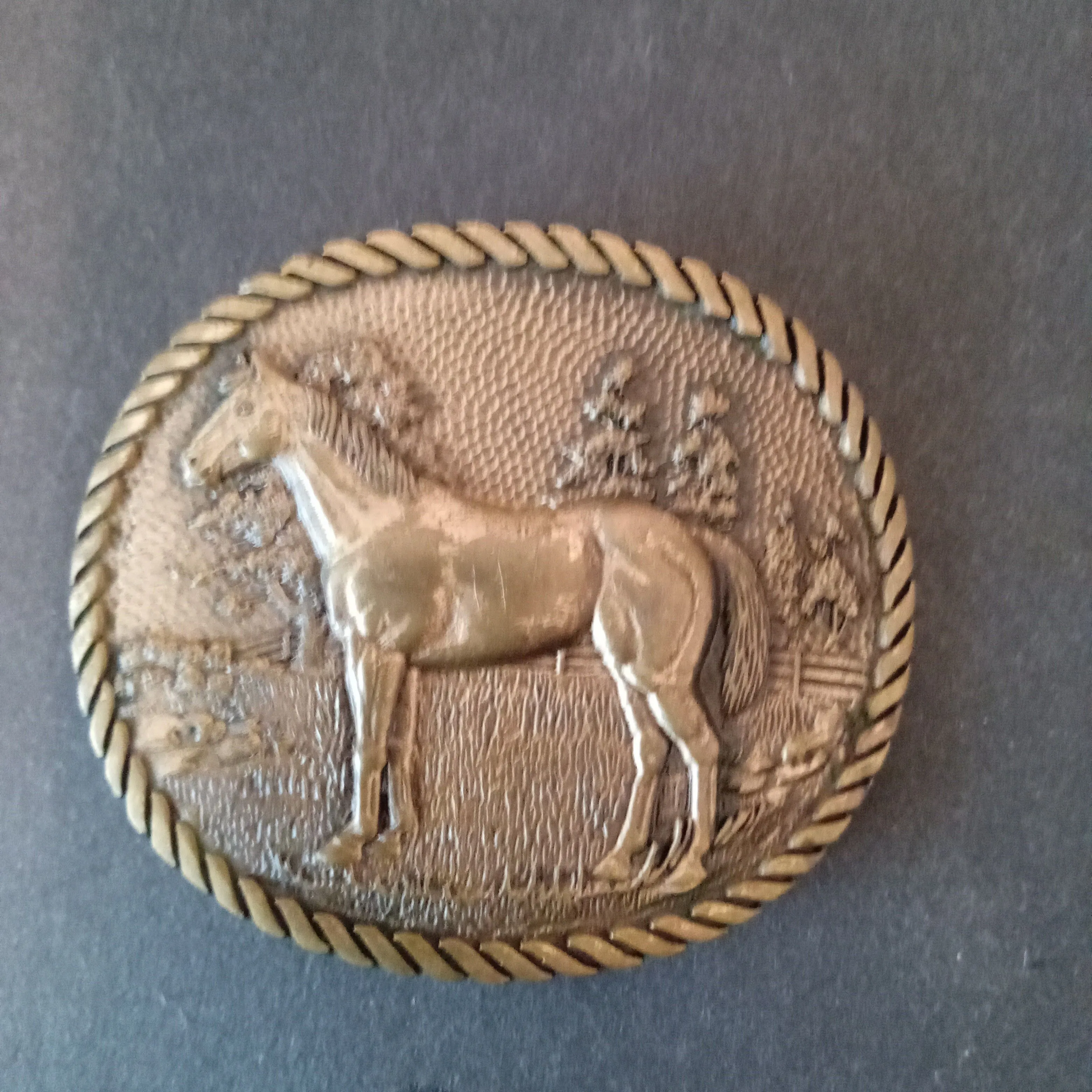 Product image for Brass Belt Buckle American mustang Horse In Field (Kids size )