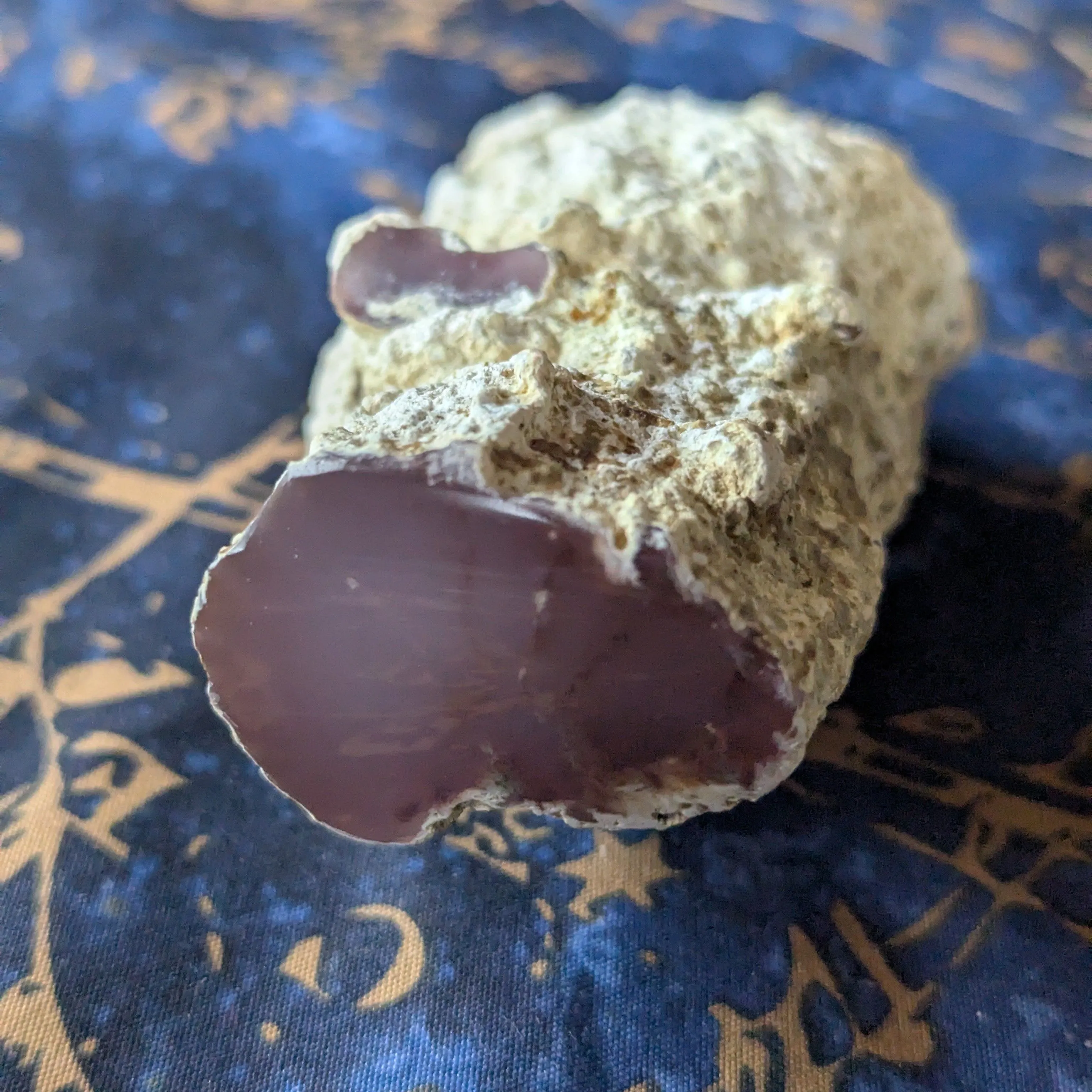 Product image for Pink Petrified wood Limb casting 