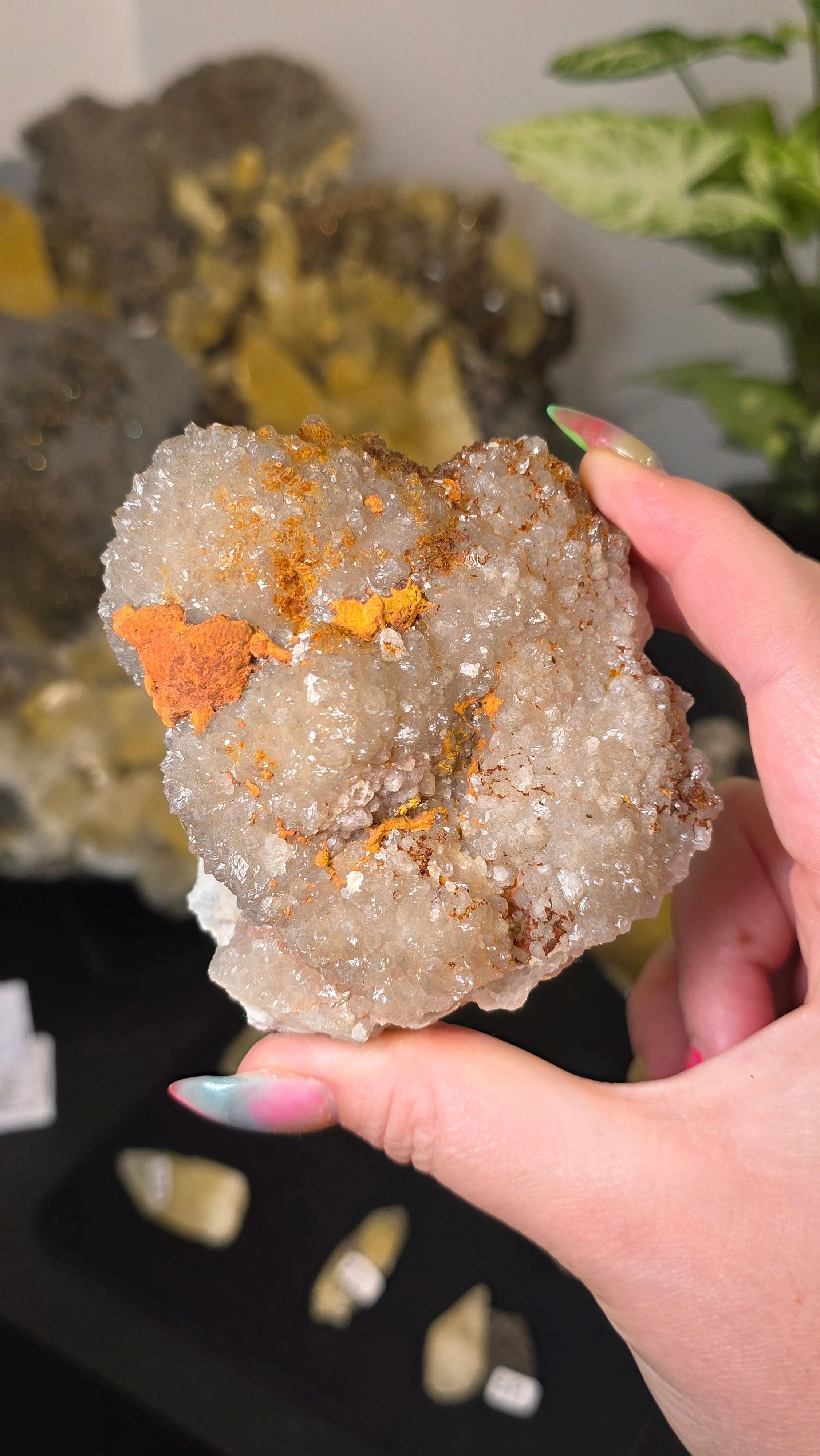 Product image for buckngo - barite and quartz - self collected