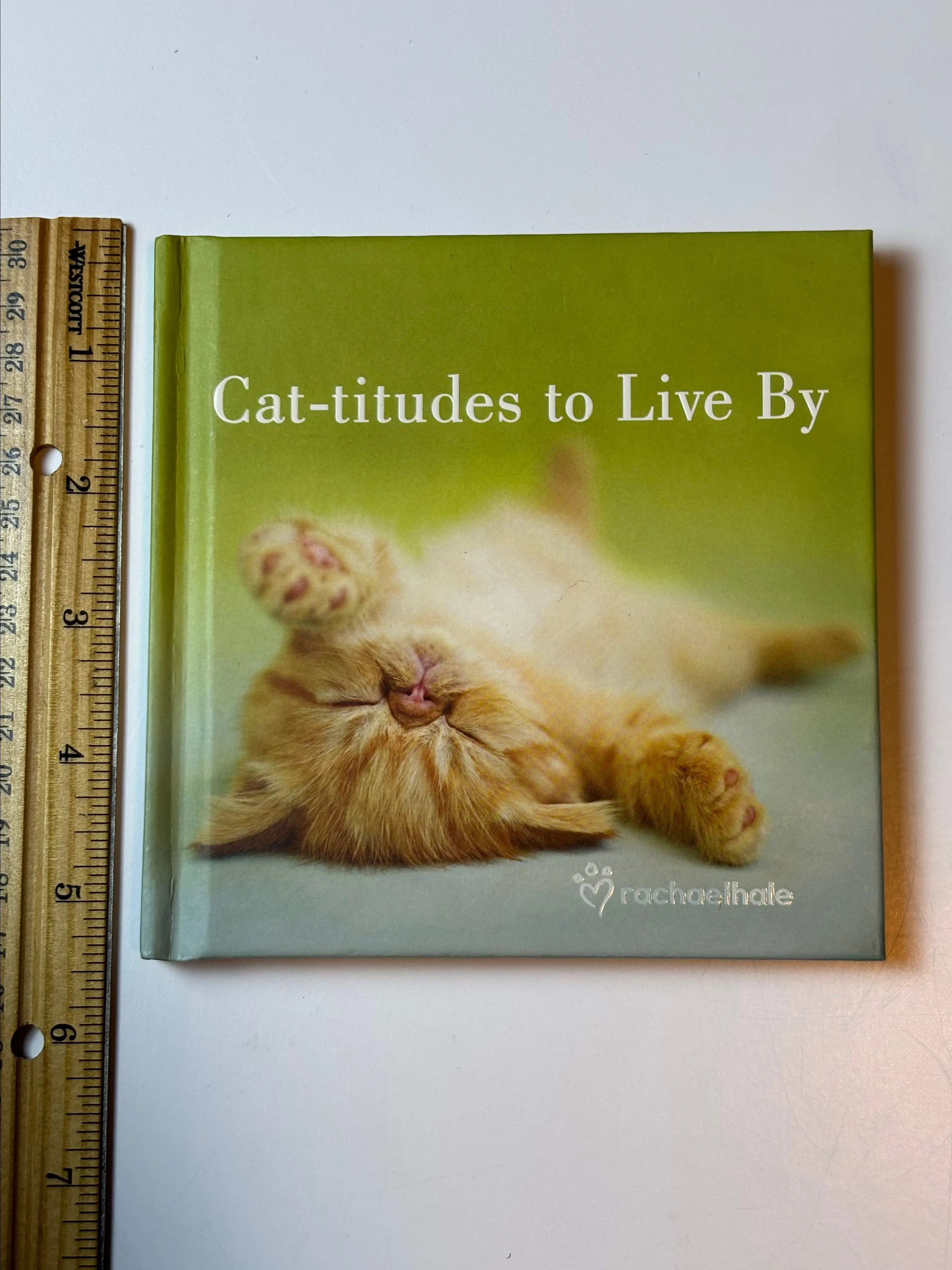 Product image for Small Cat Book,  Cat-titudes to Live By: Inspirational Thoughts by Rachael Hal, Smol Cat Book