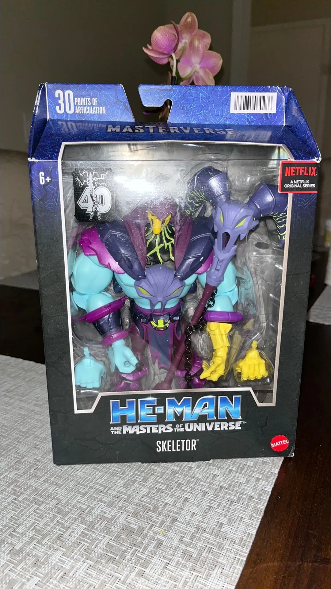 Product image for HE-MAN “ Skeletor “