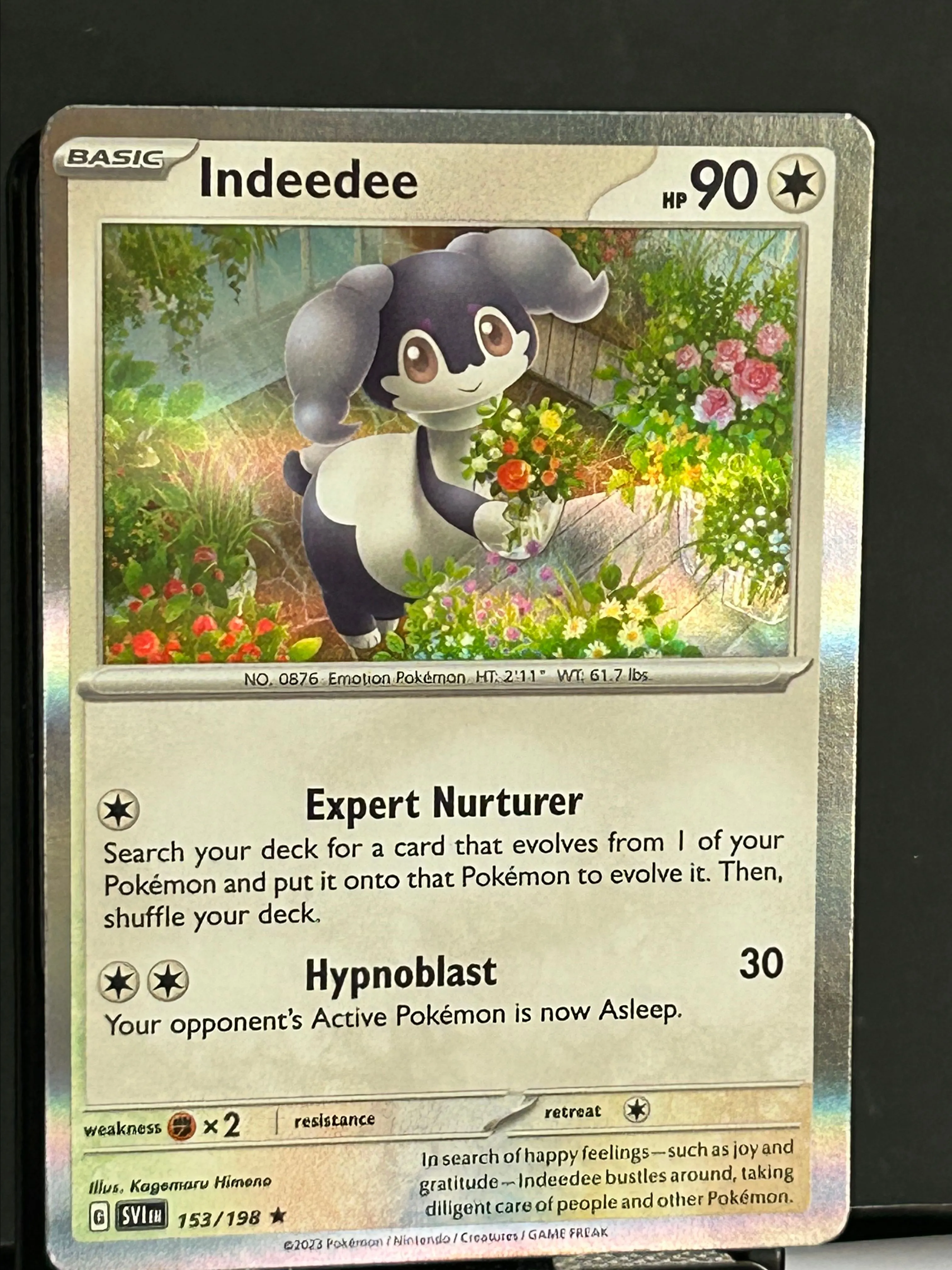 Product image for Pokémon