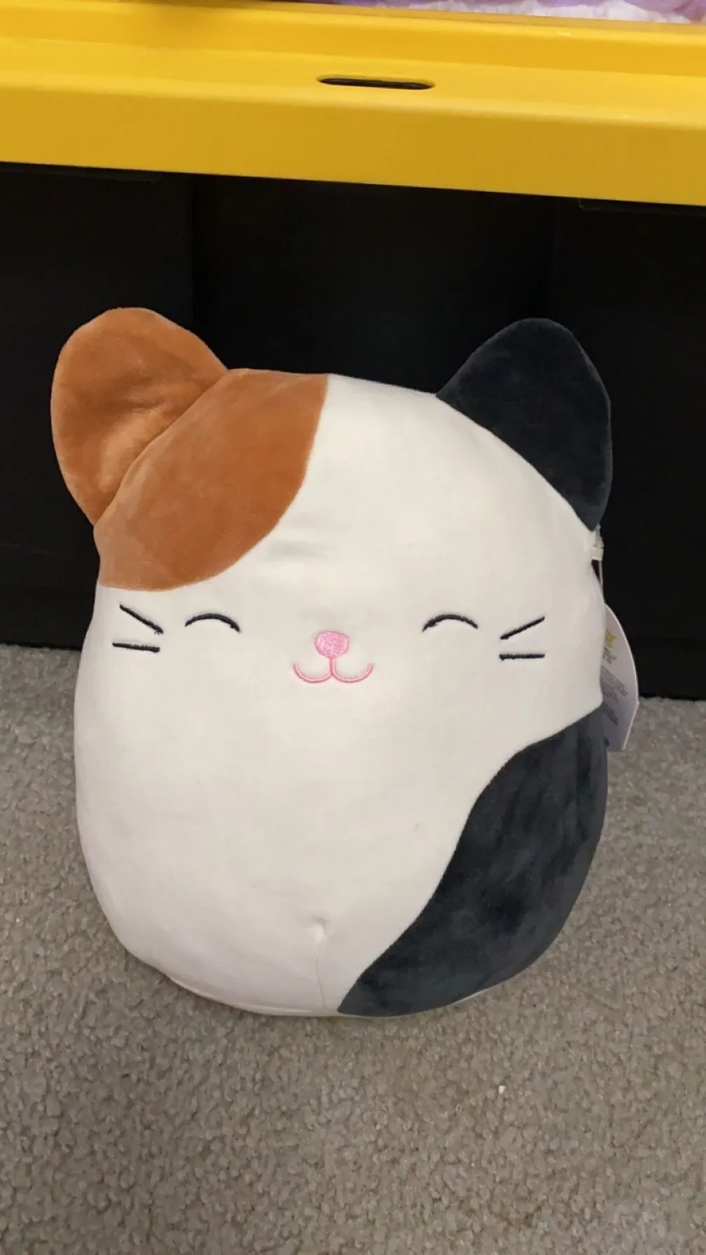 Product image for Cam 10”