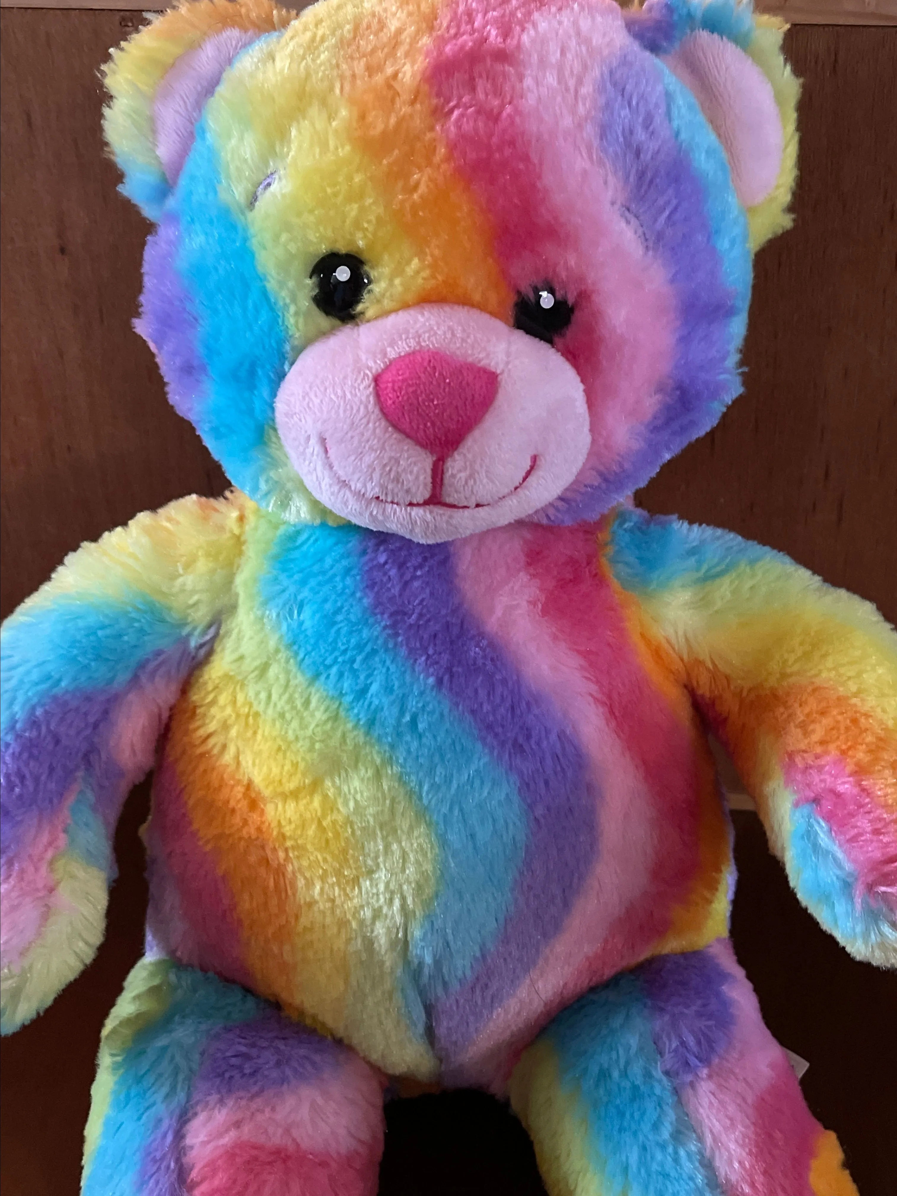 Product image for Rainbow wave bear