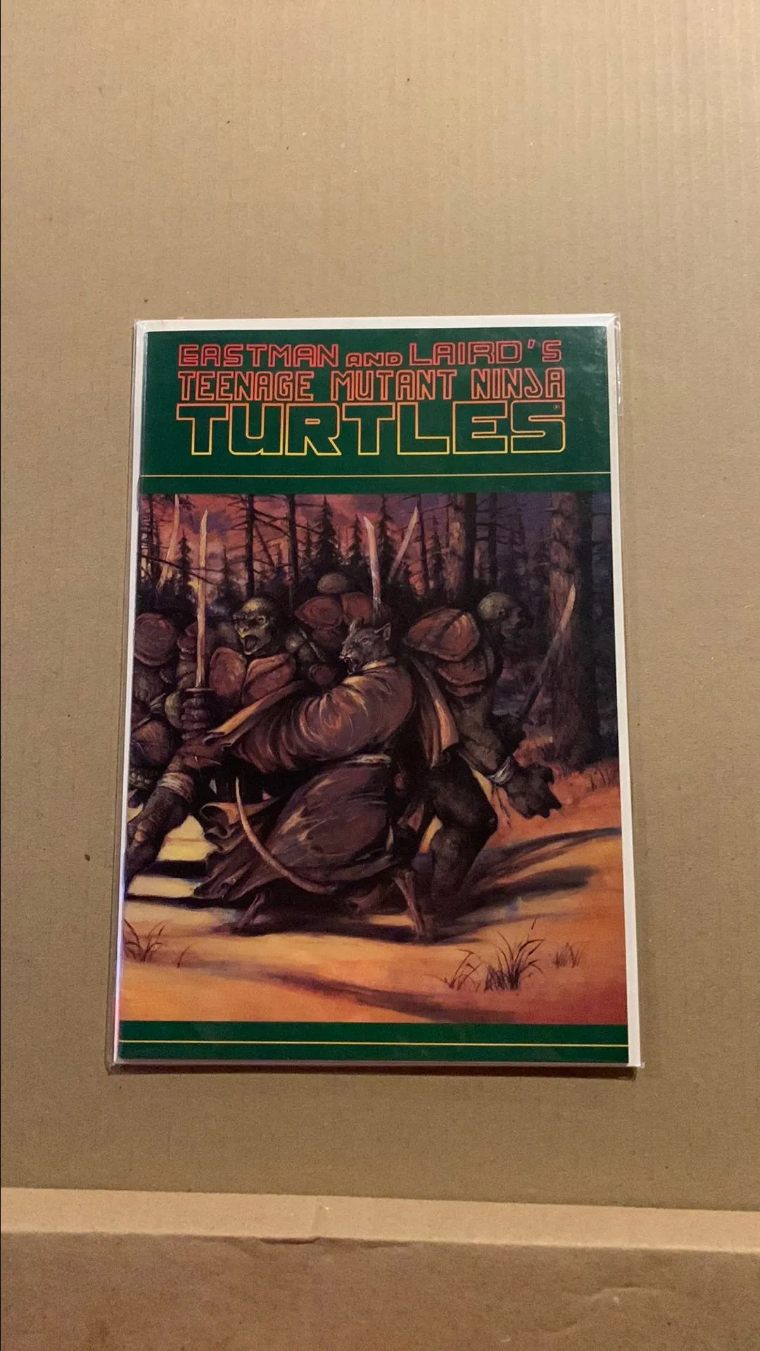 Product image for Eastman and laird TMNT 31
