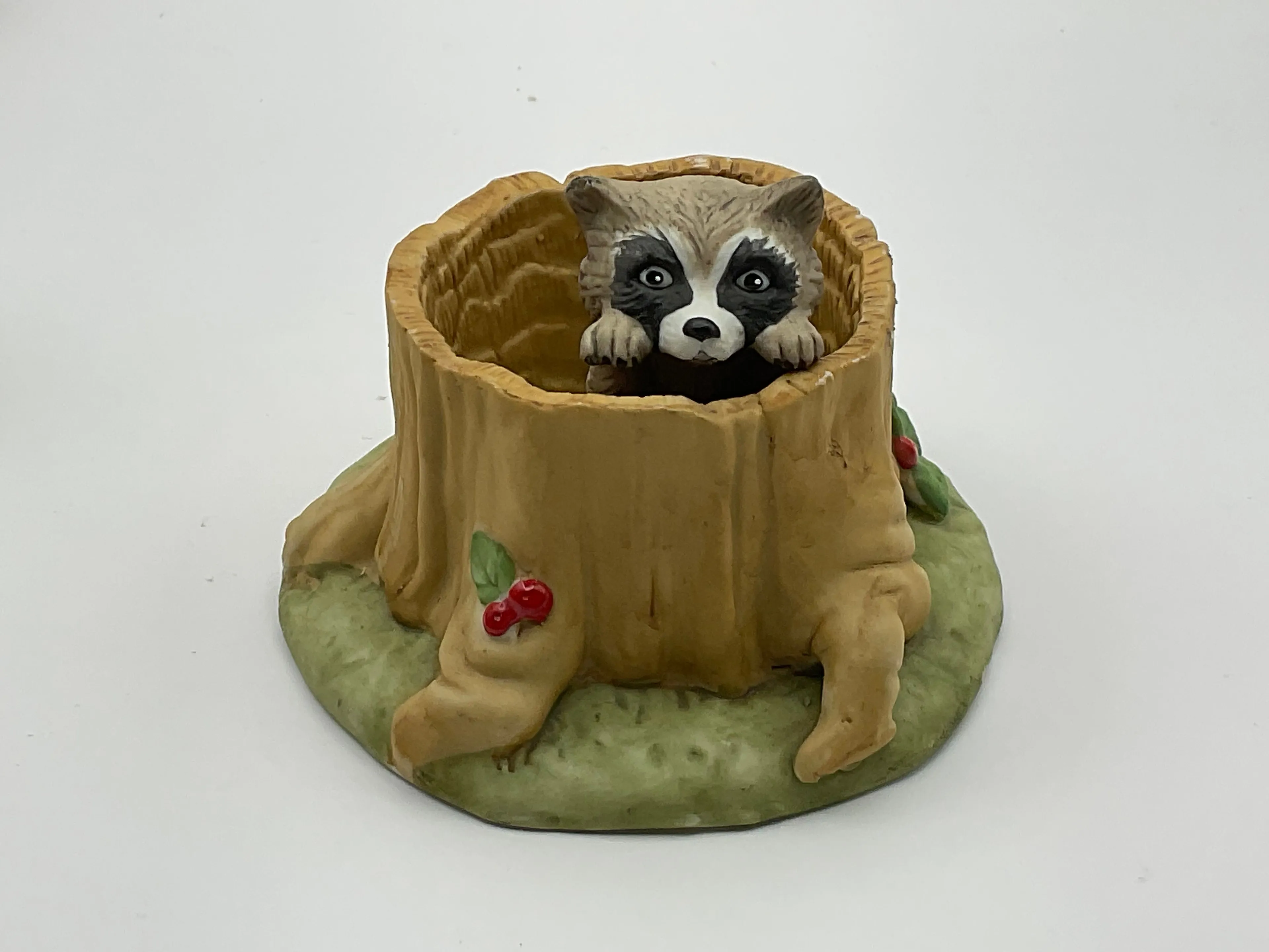 Product image for Q.  Woodland racoon