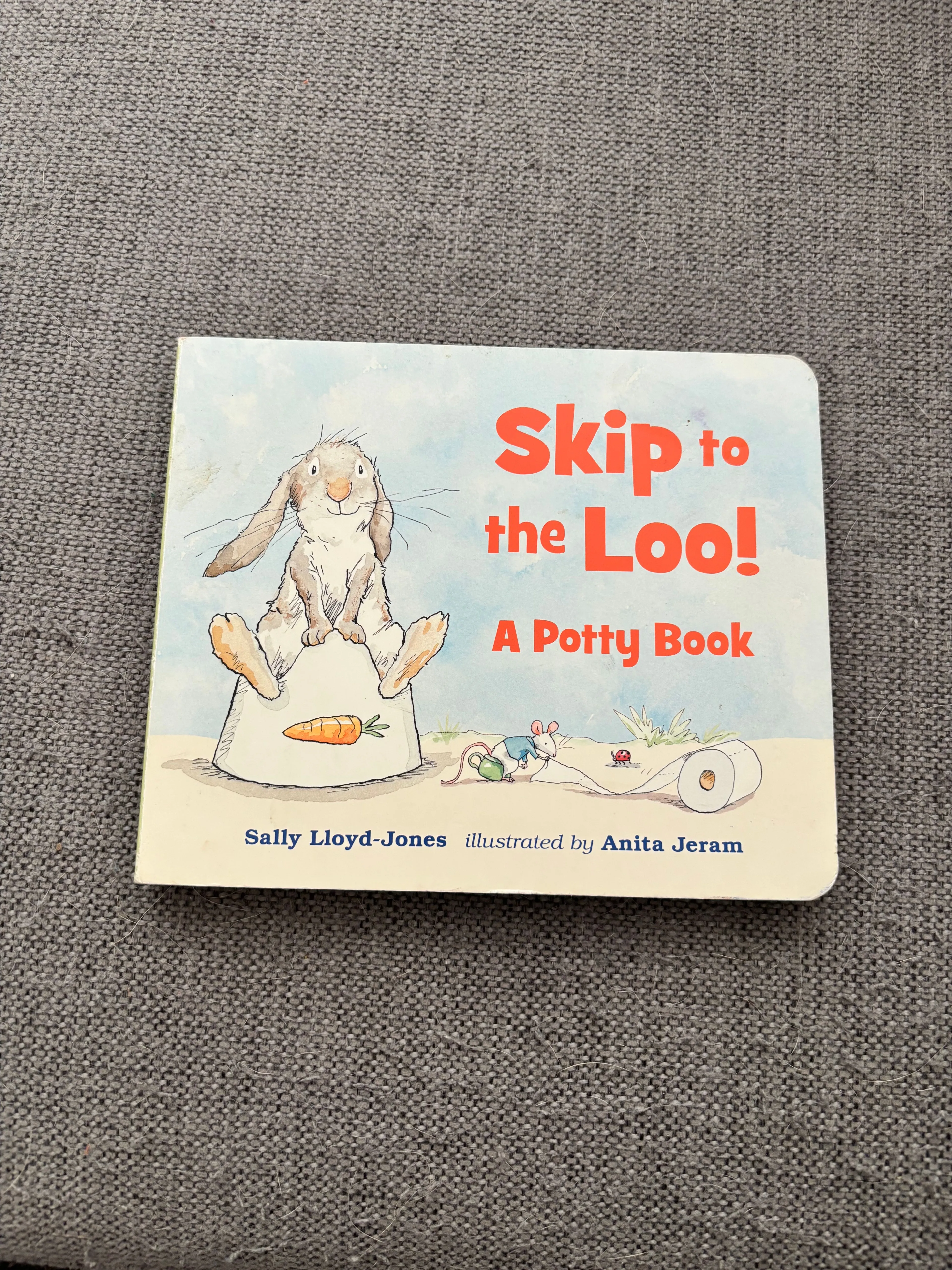 Product image for Skip to the Loo board book