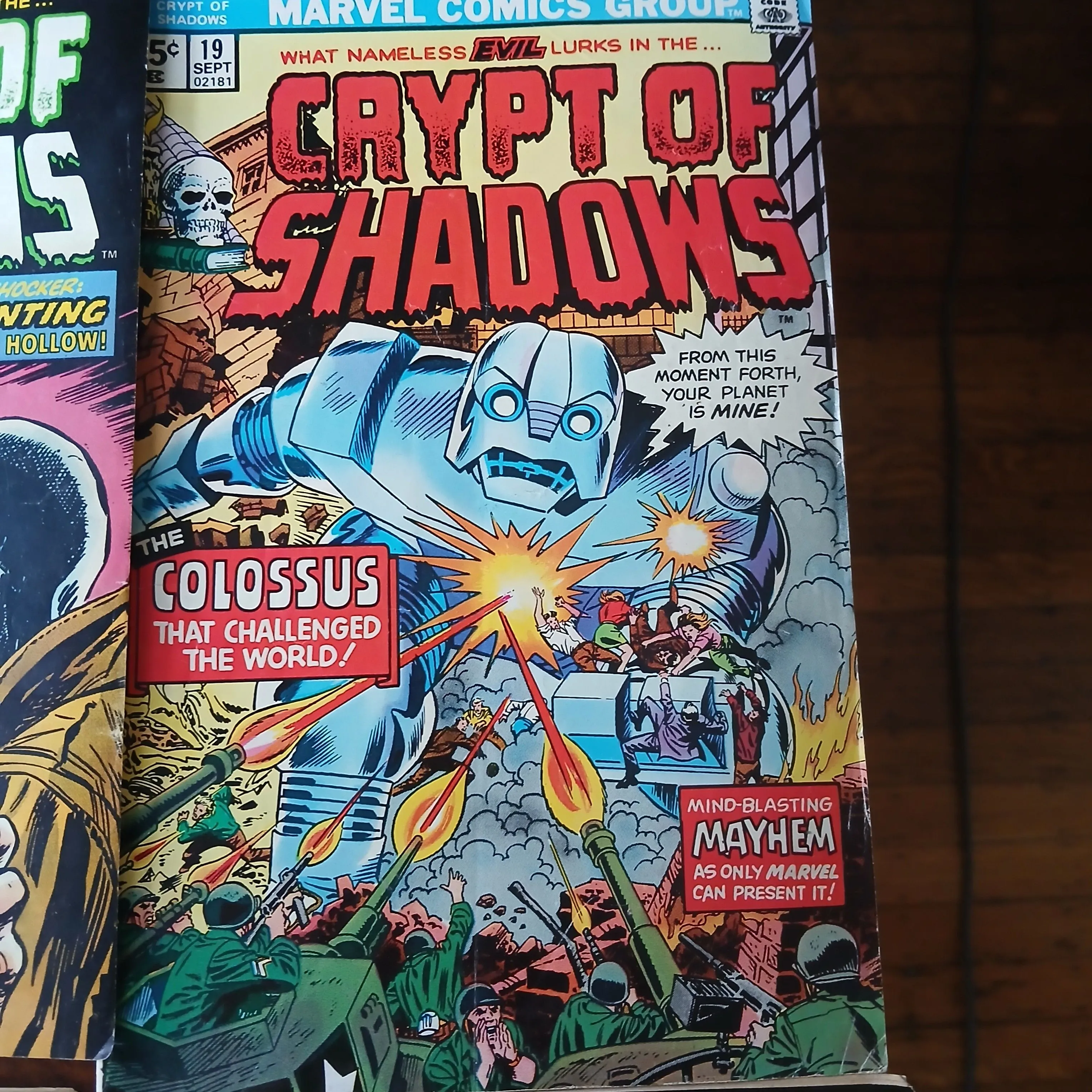 Product image for crypt of shadows colossus 