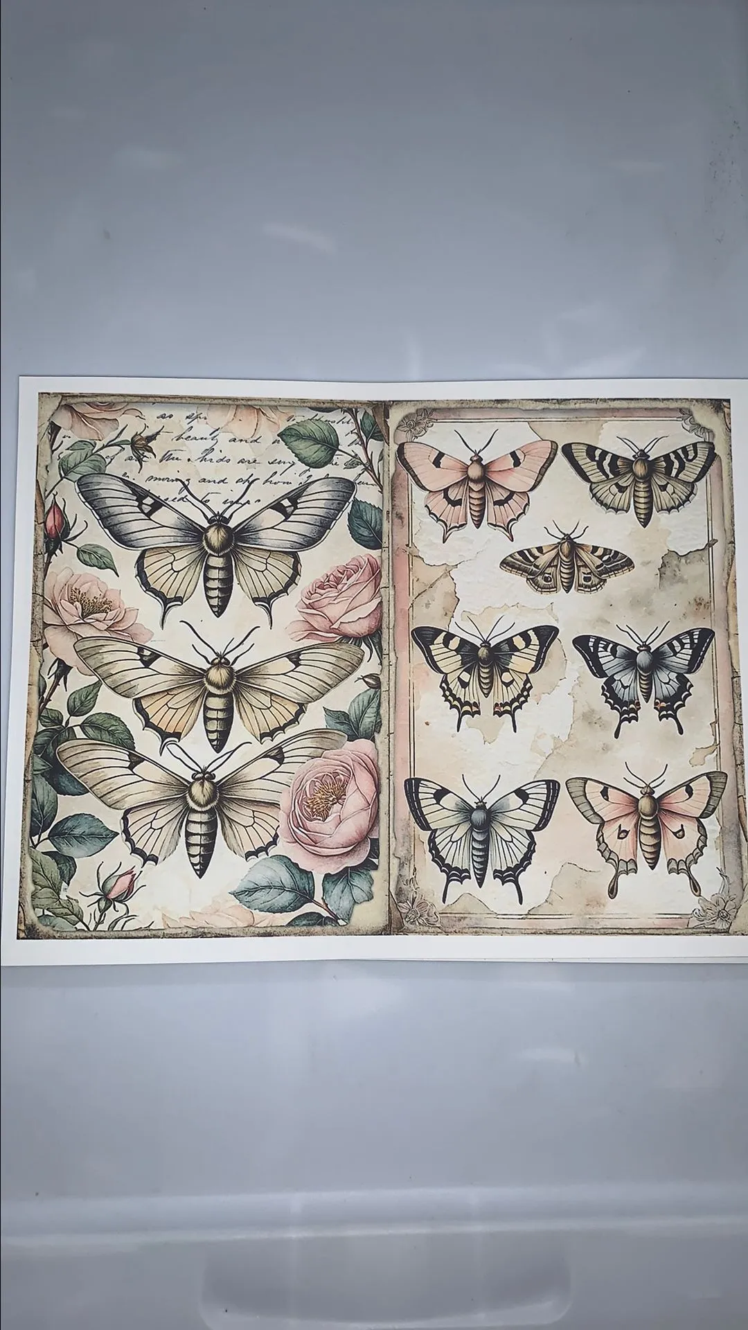 Product image for 00. Butterfly Printable #1