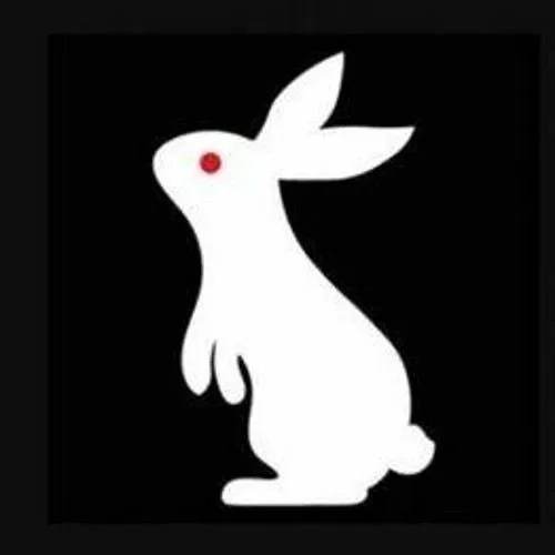 0b2c2dab-12e7-4d40-9f54-e728a7b251b2