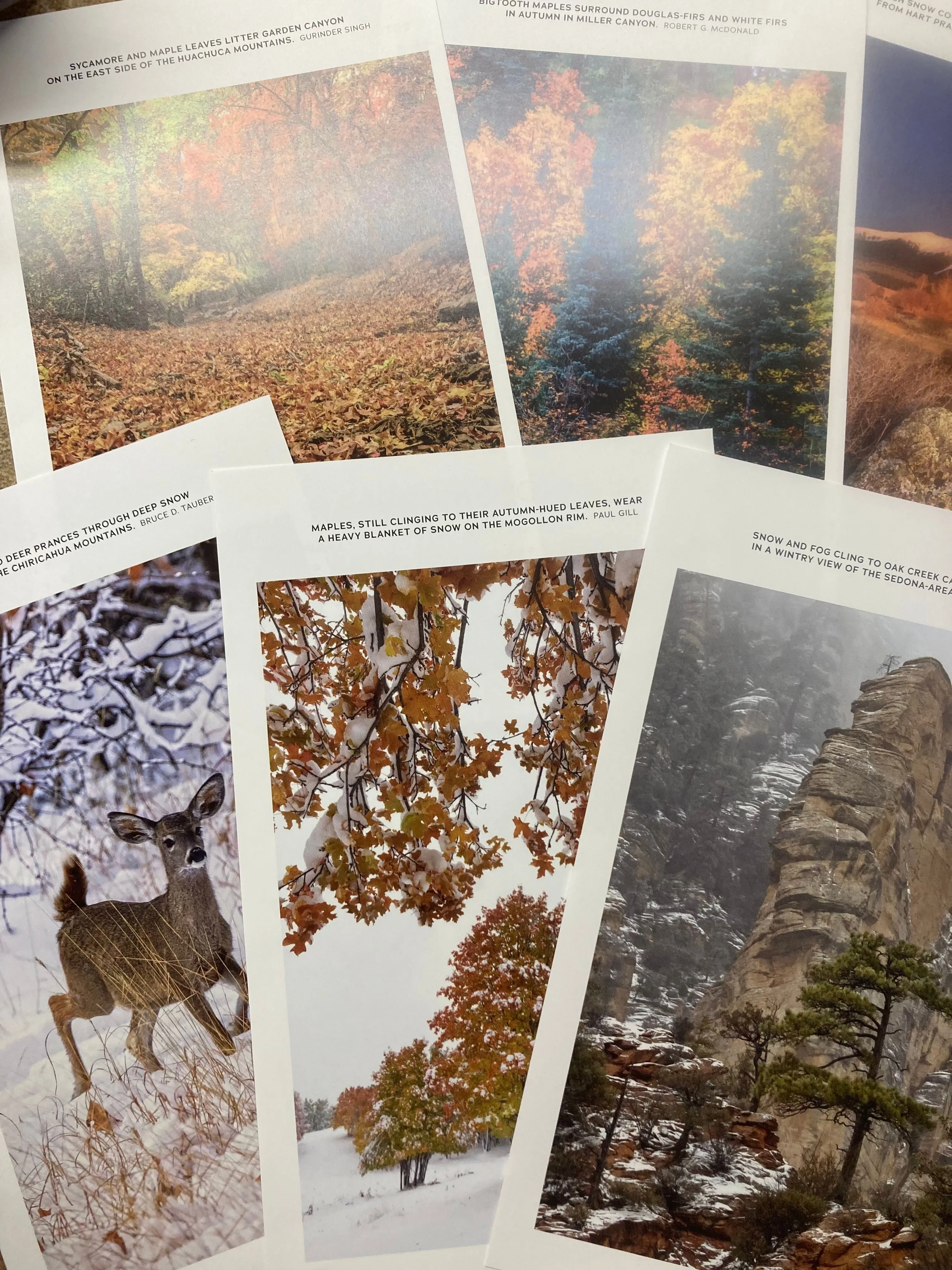 Product image for 00. Bloop a nature photo from Arizona