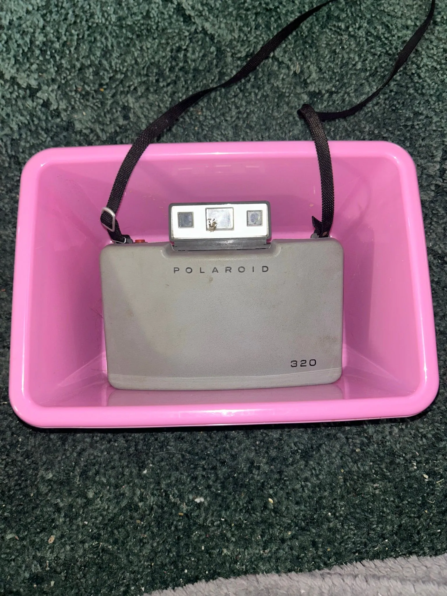 0c8bd592-5698-417a-99fc-abaace6bd23d
