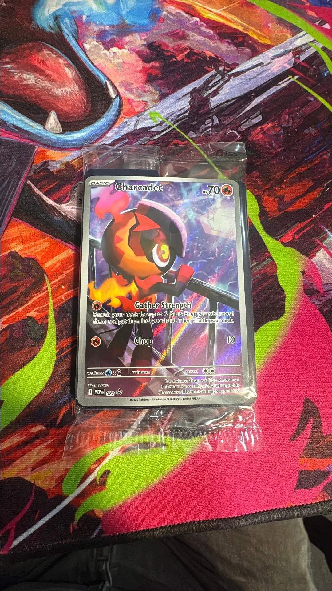 0cd535ec-47e5-4bf0-acdd-c5503d1898ff