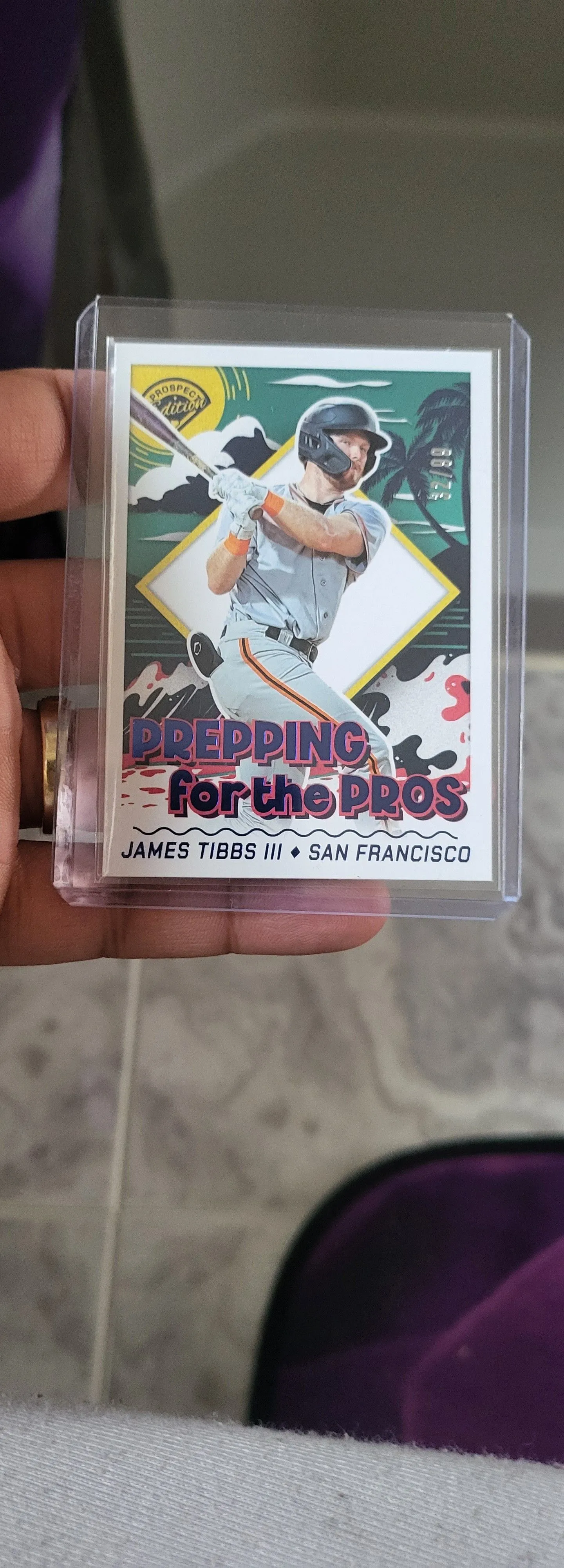 Product image for prepping for the pros