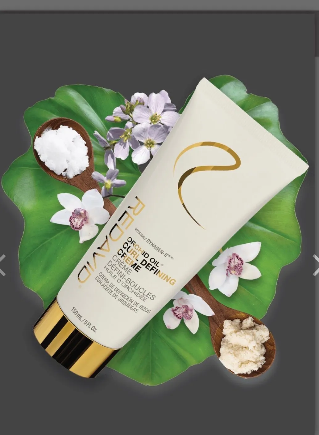 0f2d9262-0404-4afb-9706-6fedd160cfcf
