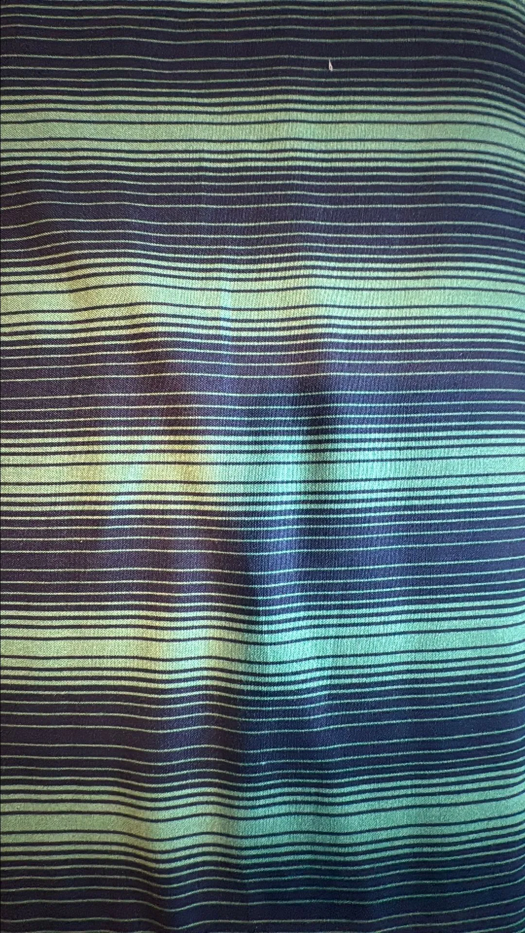 113d5099-435f-4ef2-b87a-e7c50f864cc6