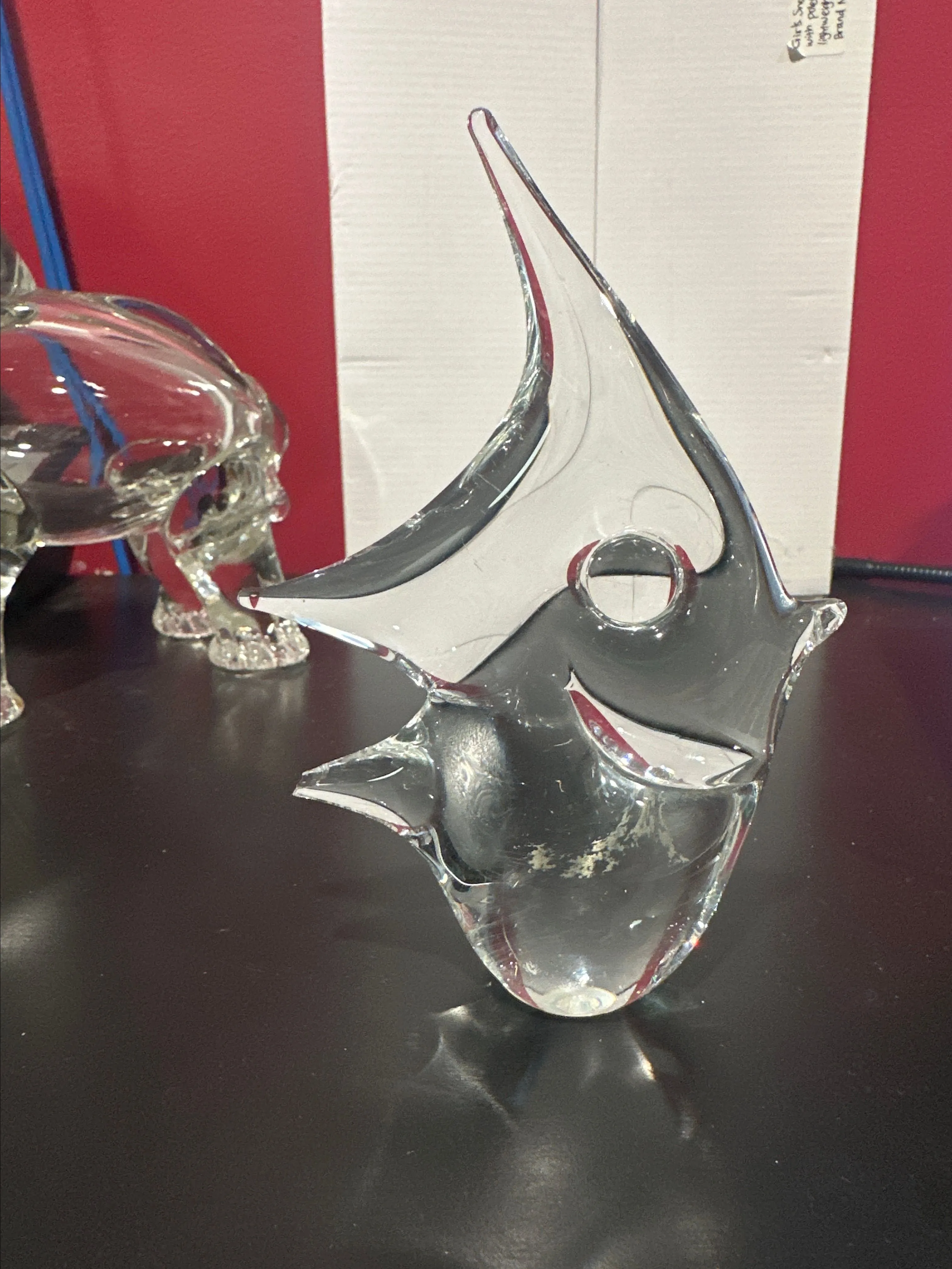 Product image for Glass Angelfish?