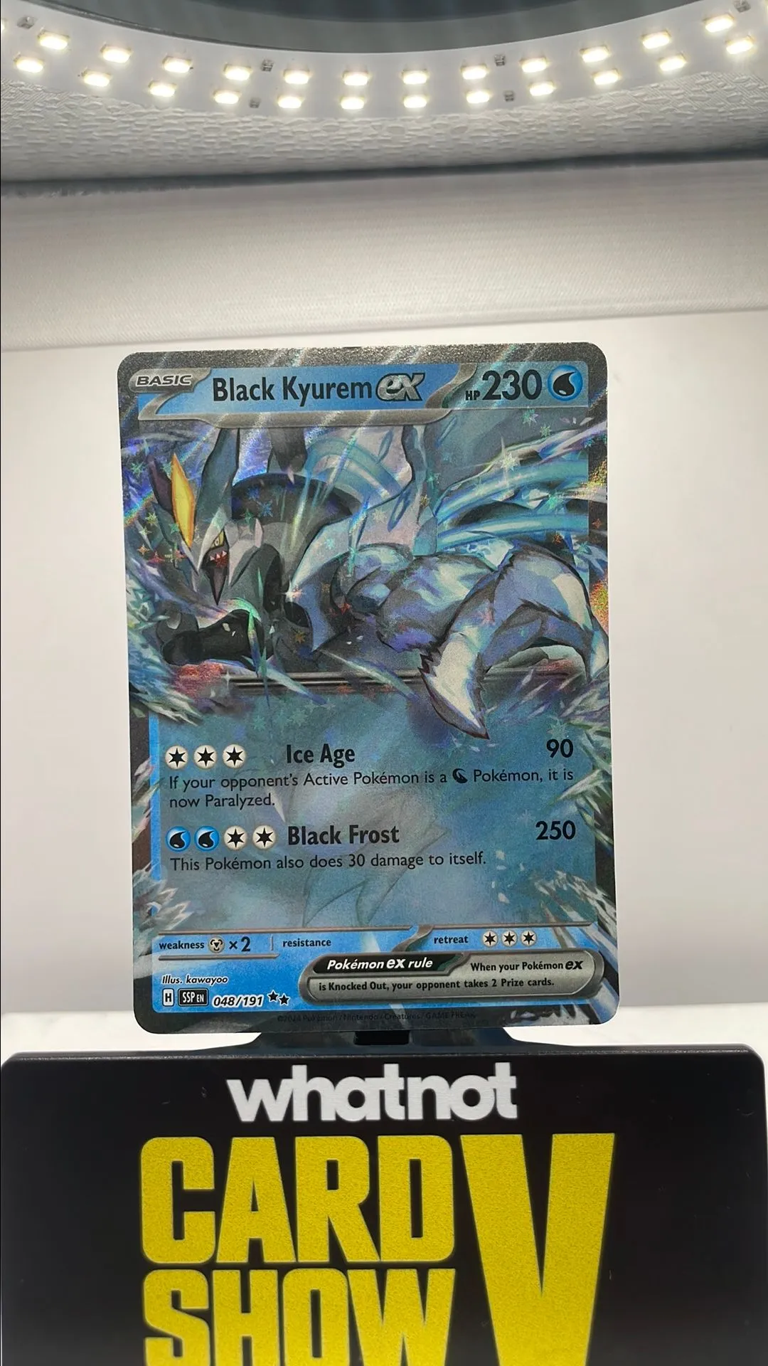 Product image for Black Kyurem EX