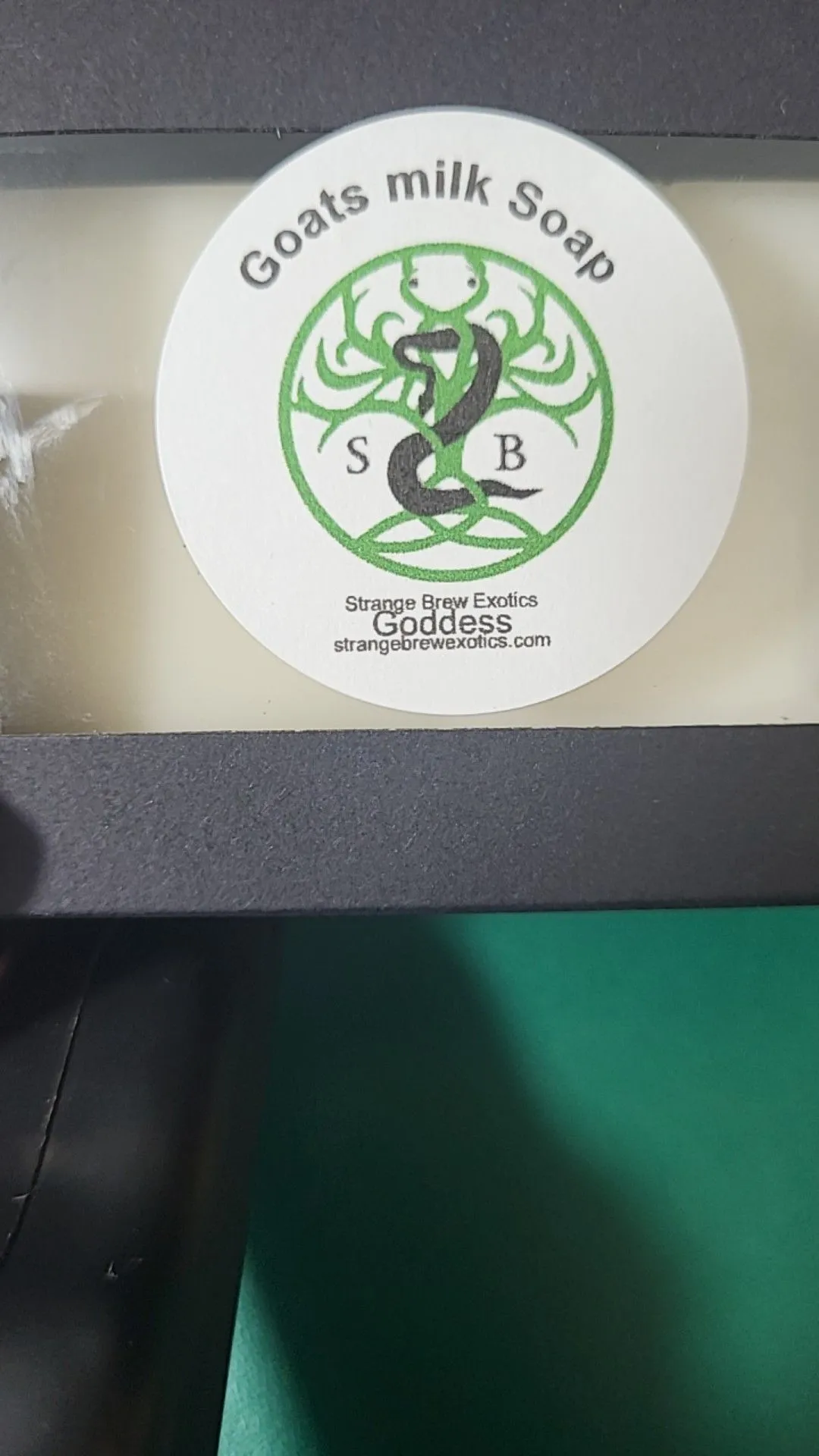 121cb82f-ebe6-48f6-bfcd-6a7118a13f2a