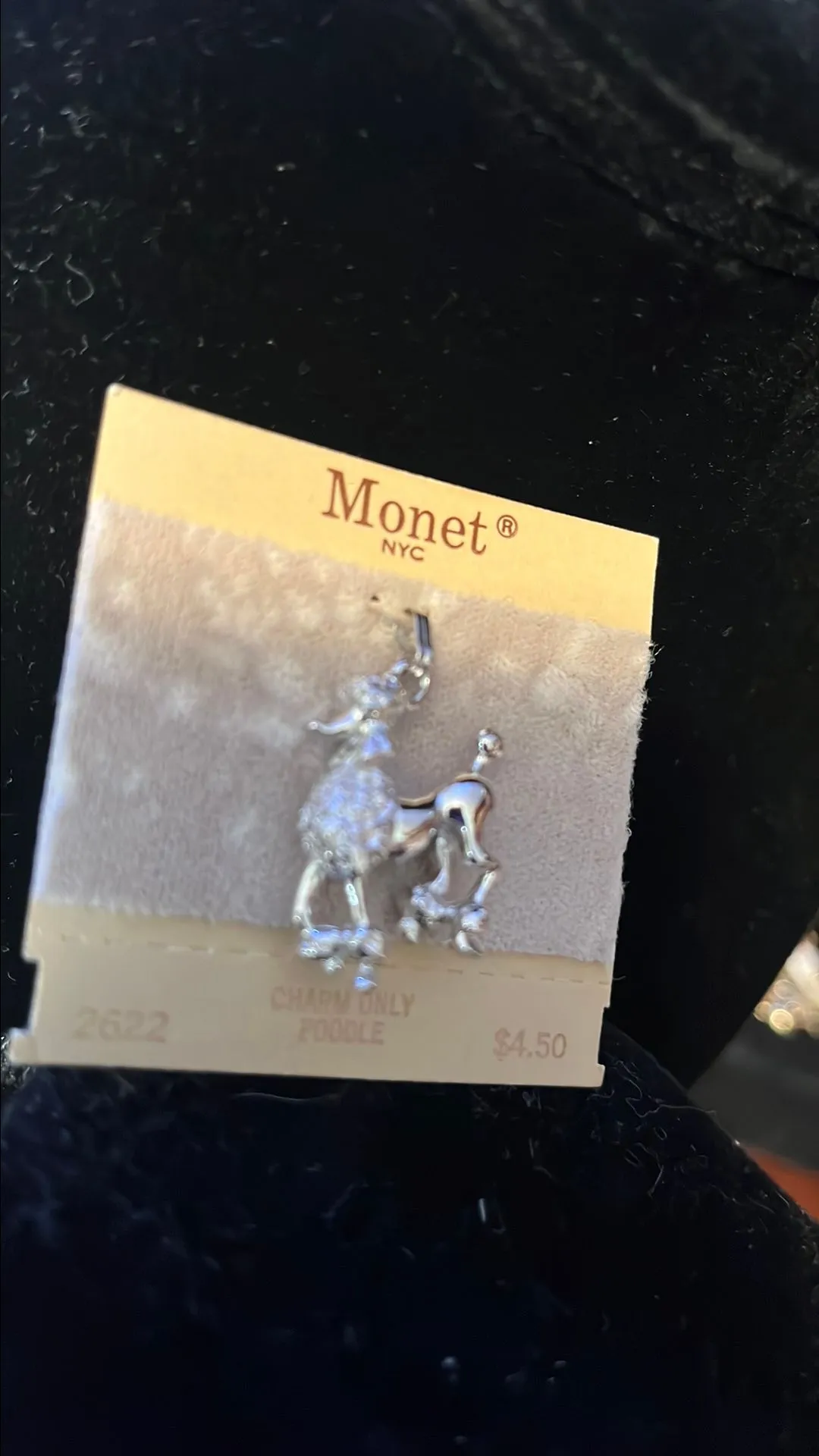Listing Image Blurred Background