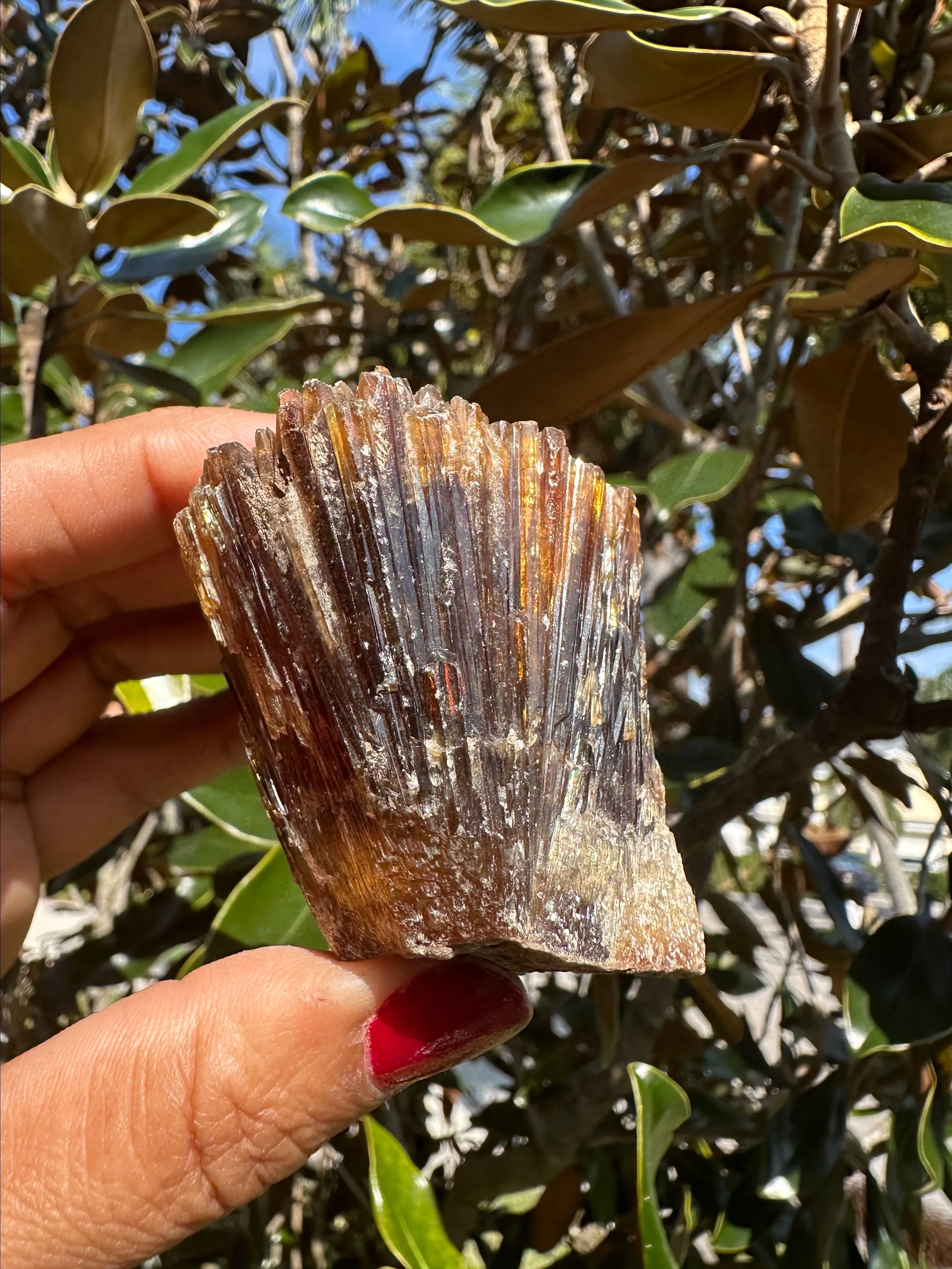 Product image for AMBER CALCITE