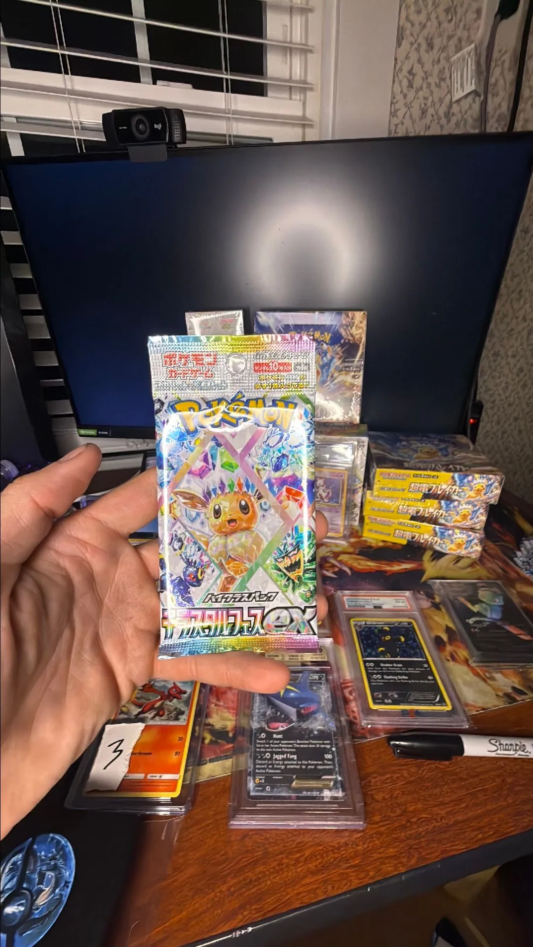 Product image for 1x terrestrial festival pack
