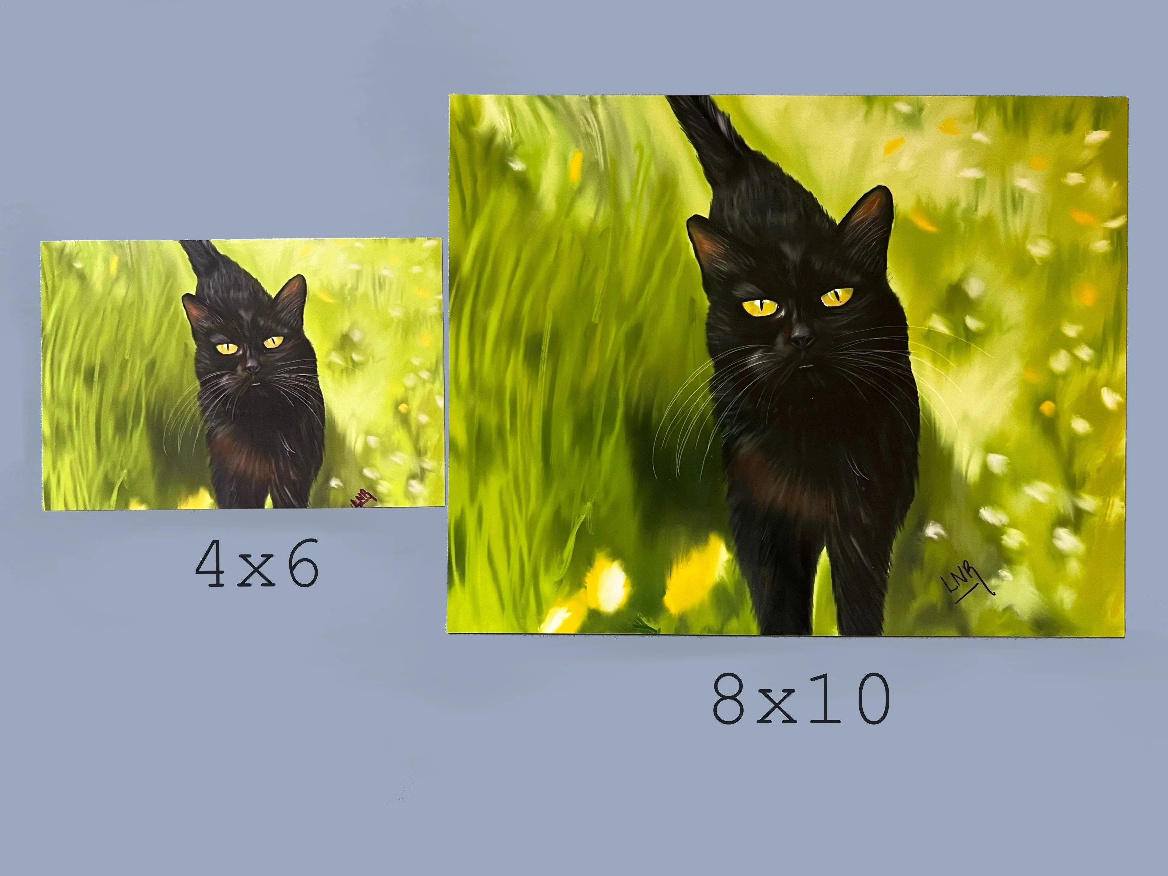 Product image for 8x10 Print