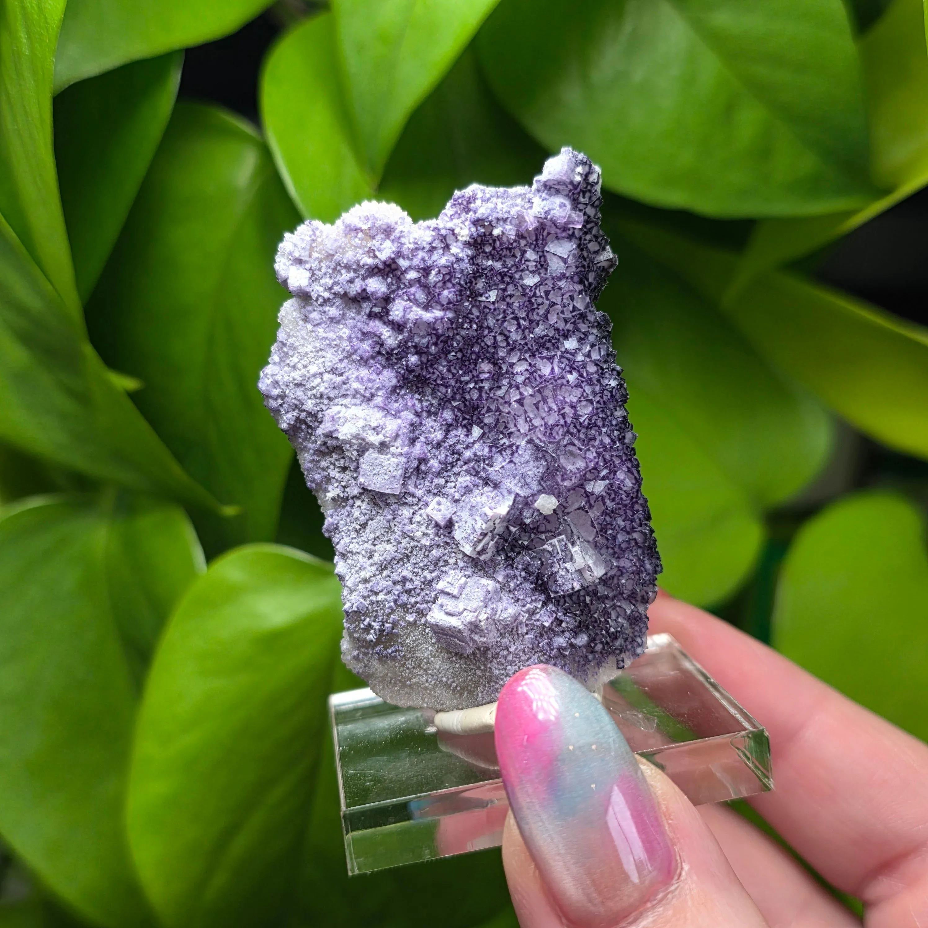 Product image for Fluorite 
