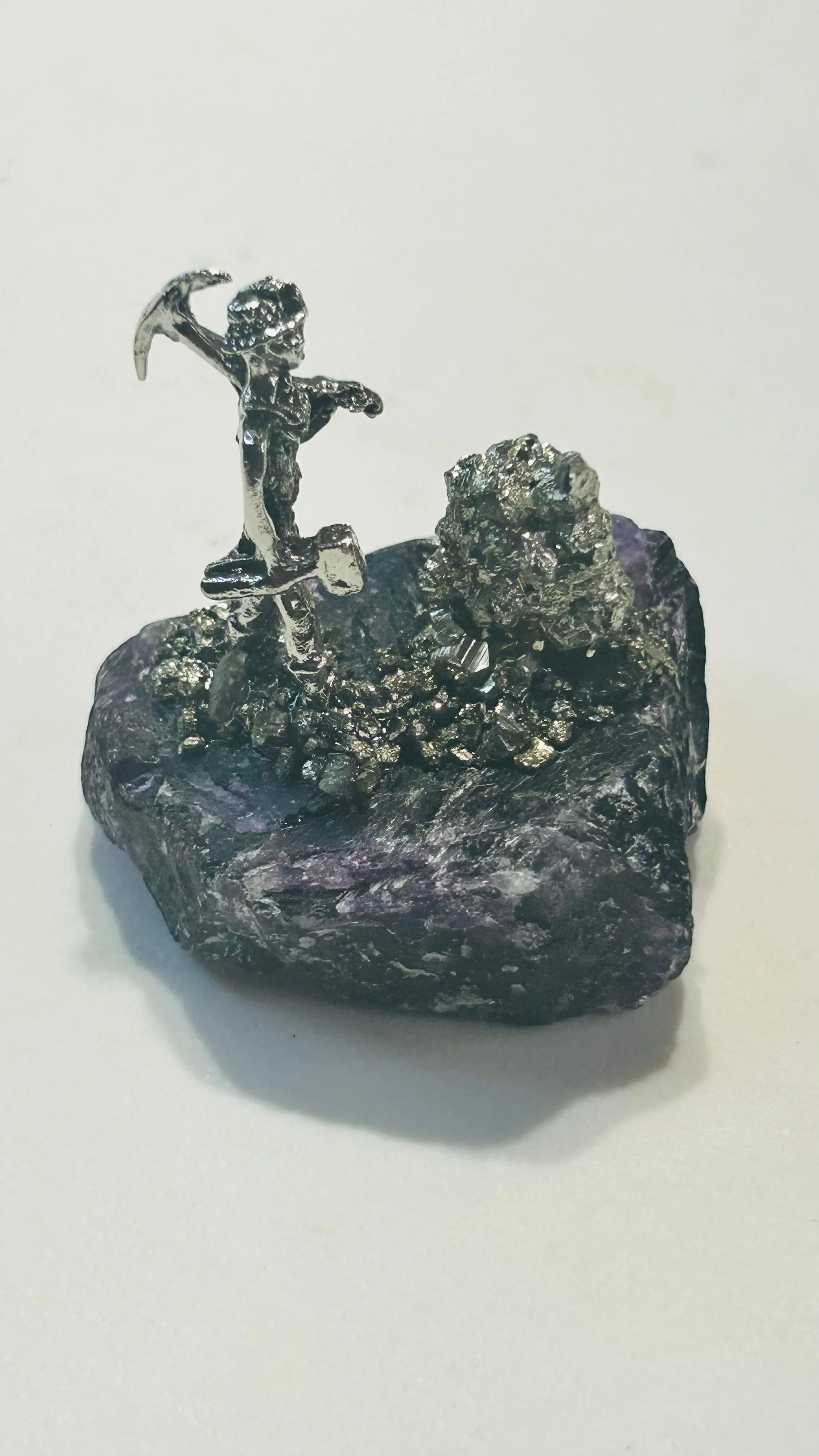 Product image for Miner Prospector