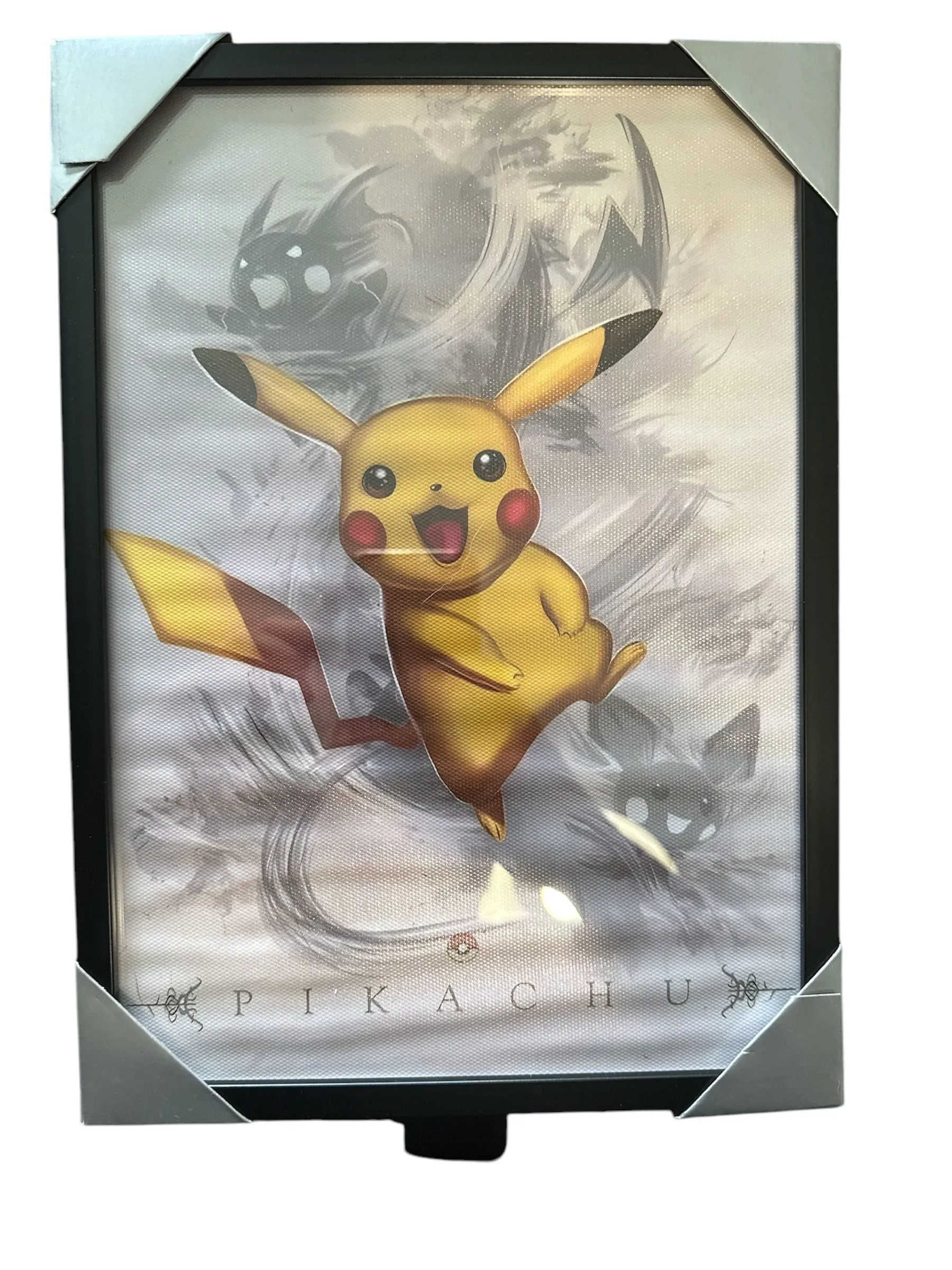 Product image for Cadre Pikachu 21x29,7