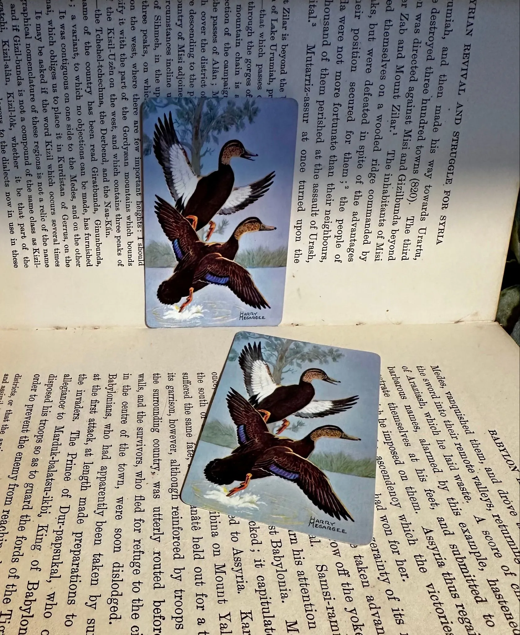 16d7e65c-a47d-4e8b-be26-467204a68f25