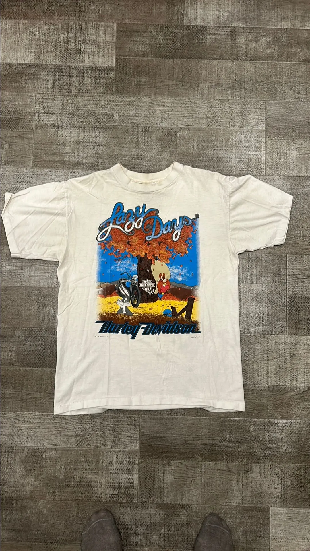 Product image for 1993 Harley Davidson Lazy Days