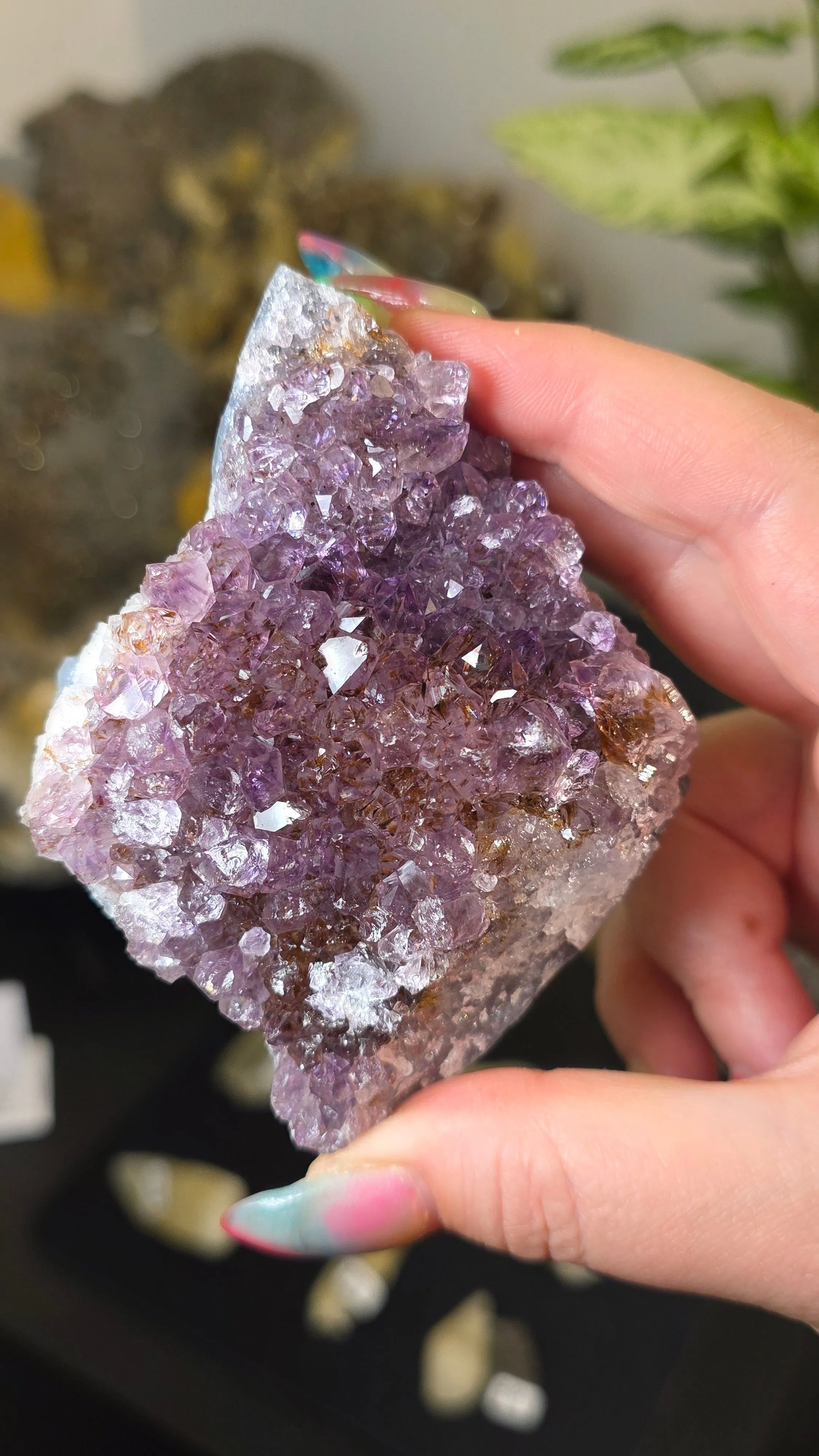 Product image for buckngo - amethyst